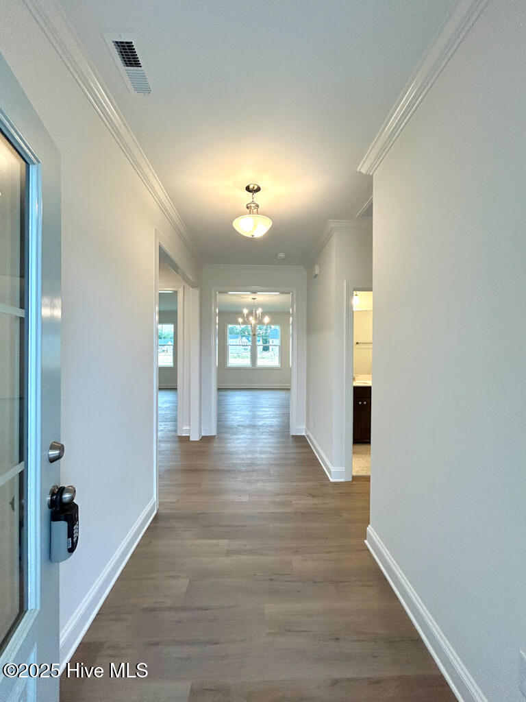 802 Tupelo Tree Drive, Hubert, NC, 28539