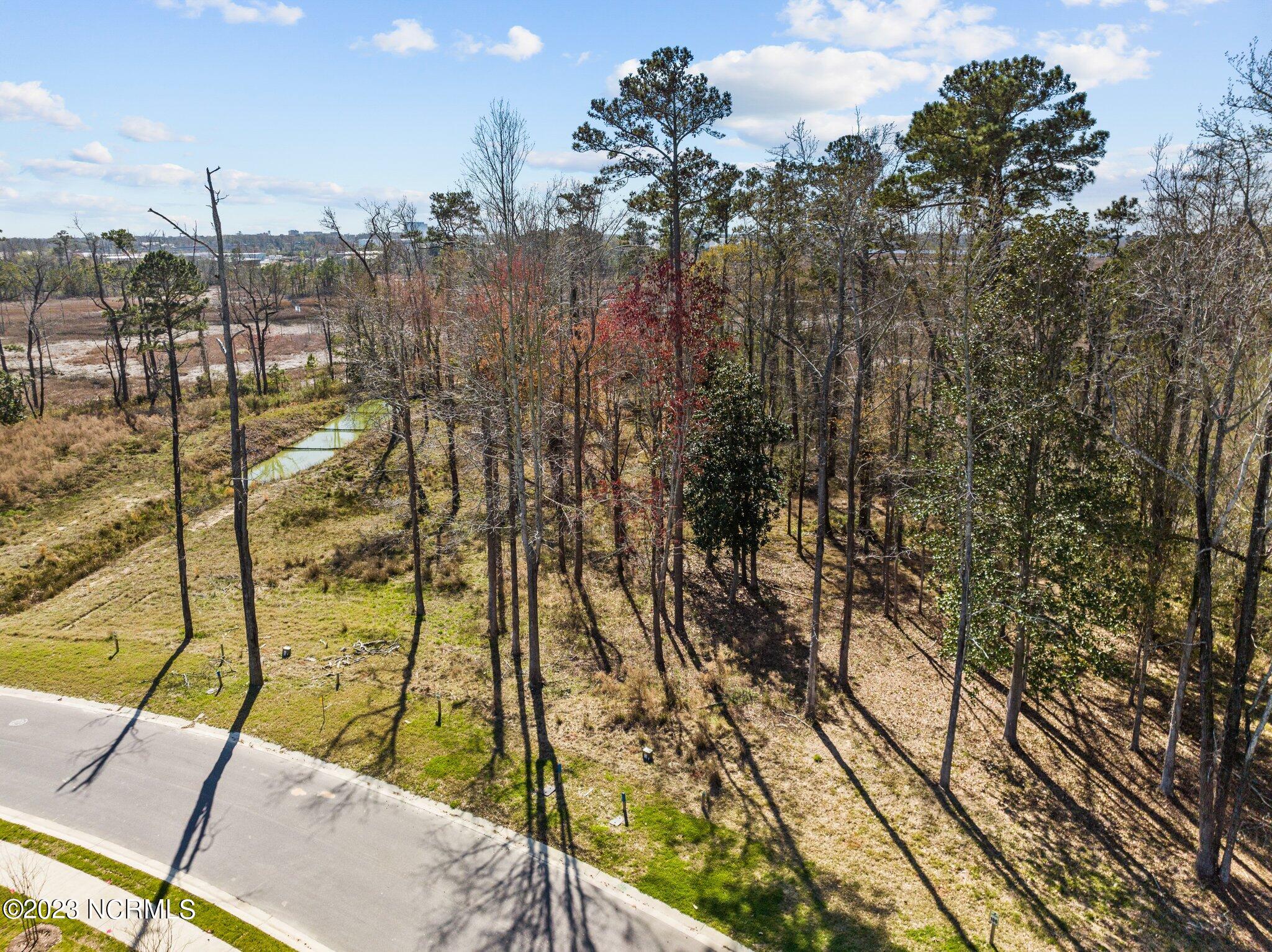 228 Preservation Point Avenue, Wilmington, NC, 28401