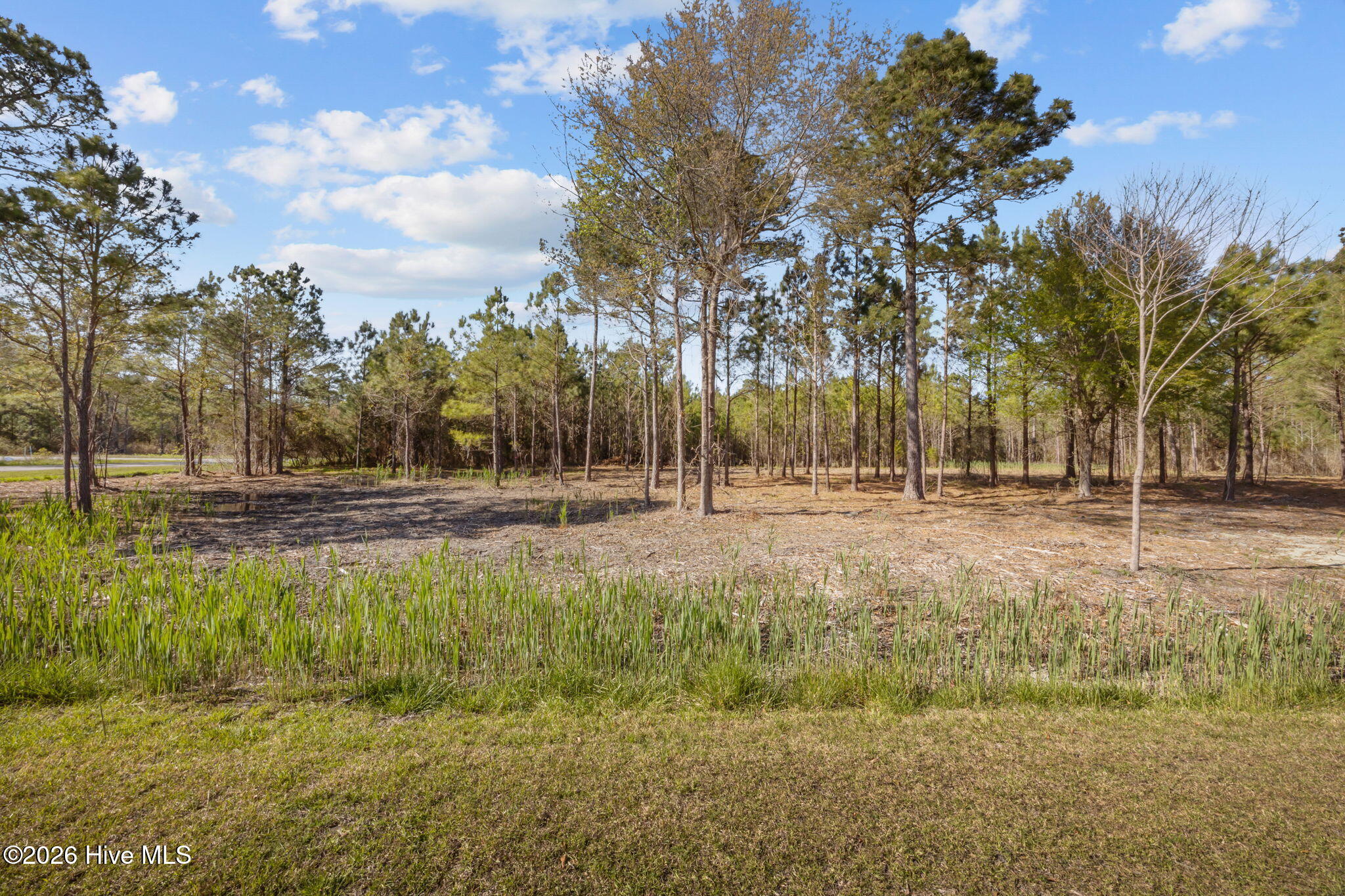 699 45 Vandemere Creek Drive,Vandemere