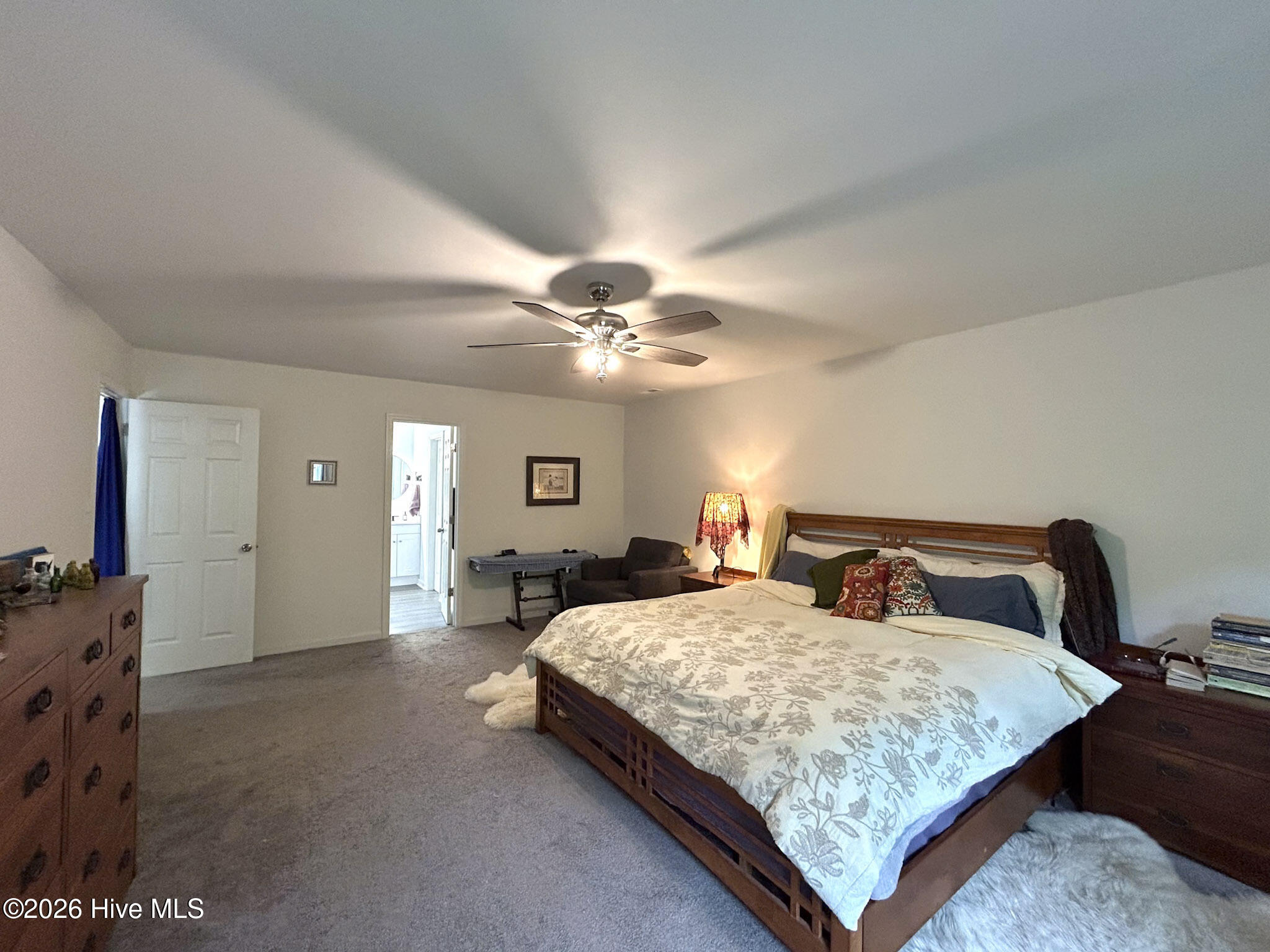 100570244 | Photo 40