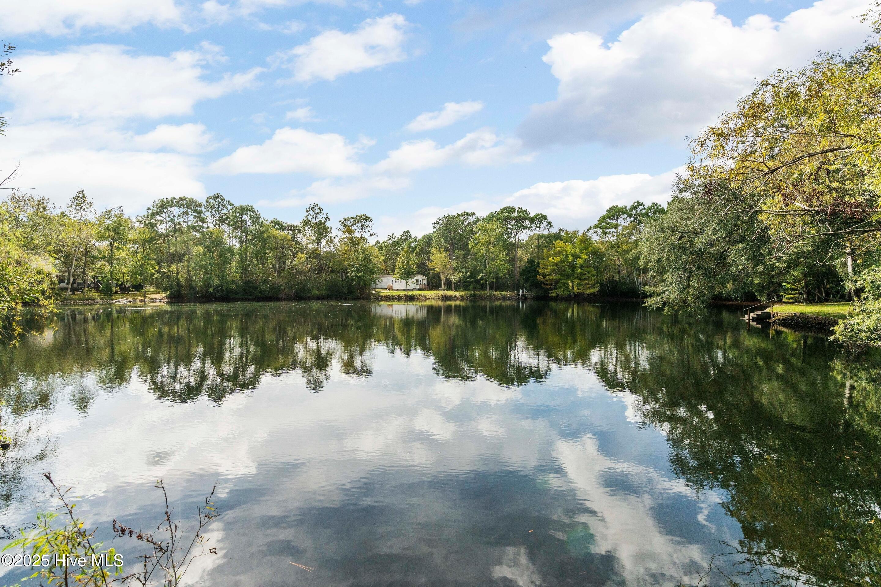 100535667 | Photo 55