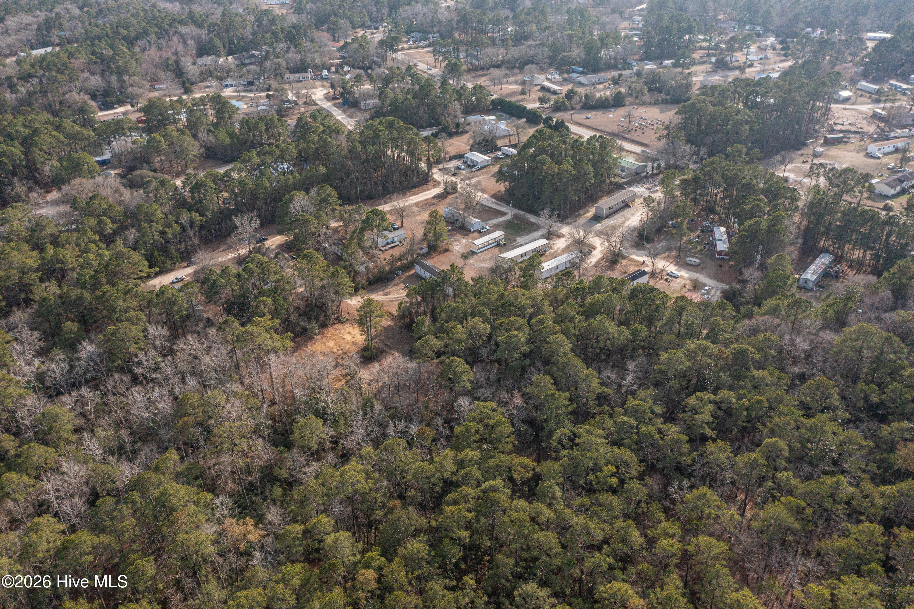 100556424 | Photo 14