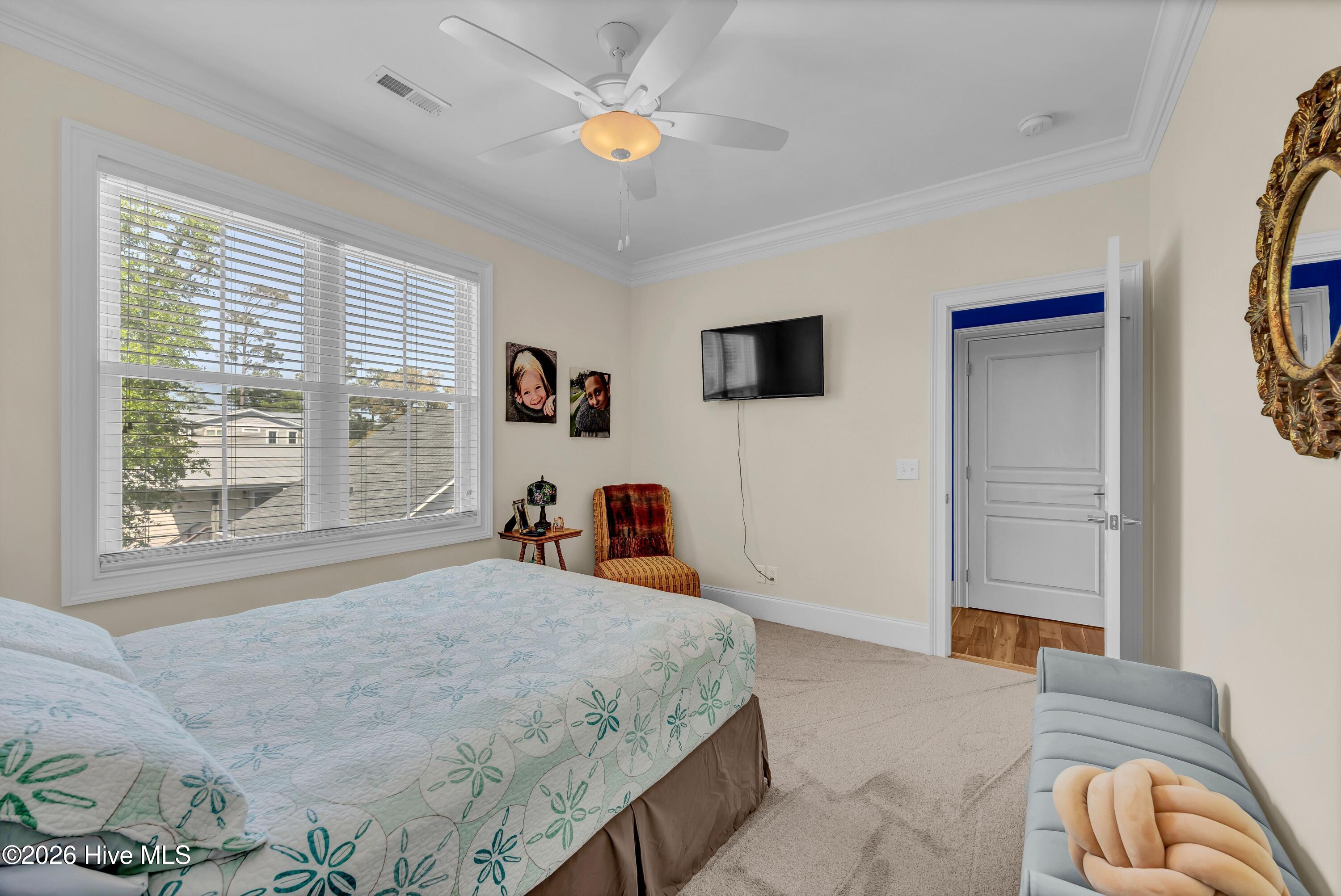 100569369 | Photo 49