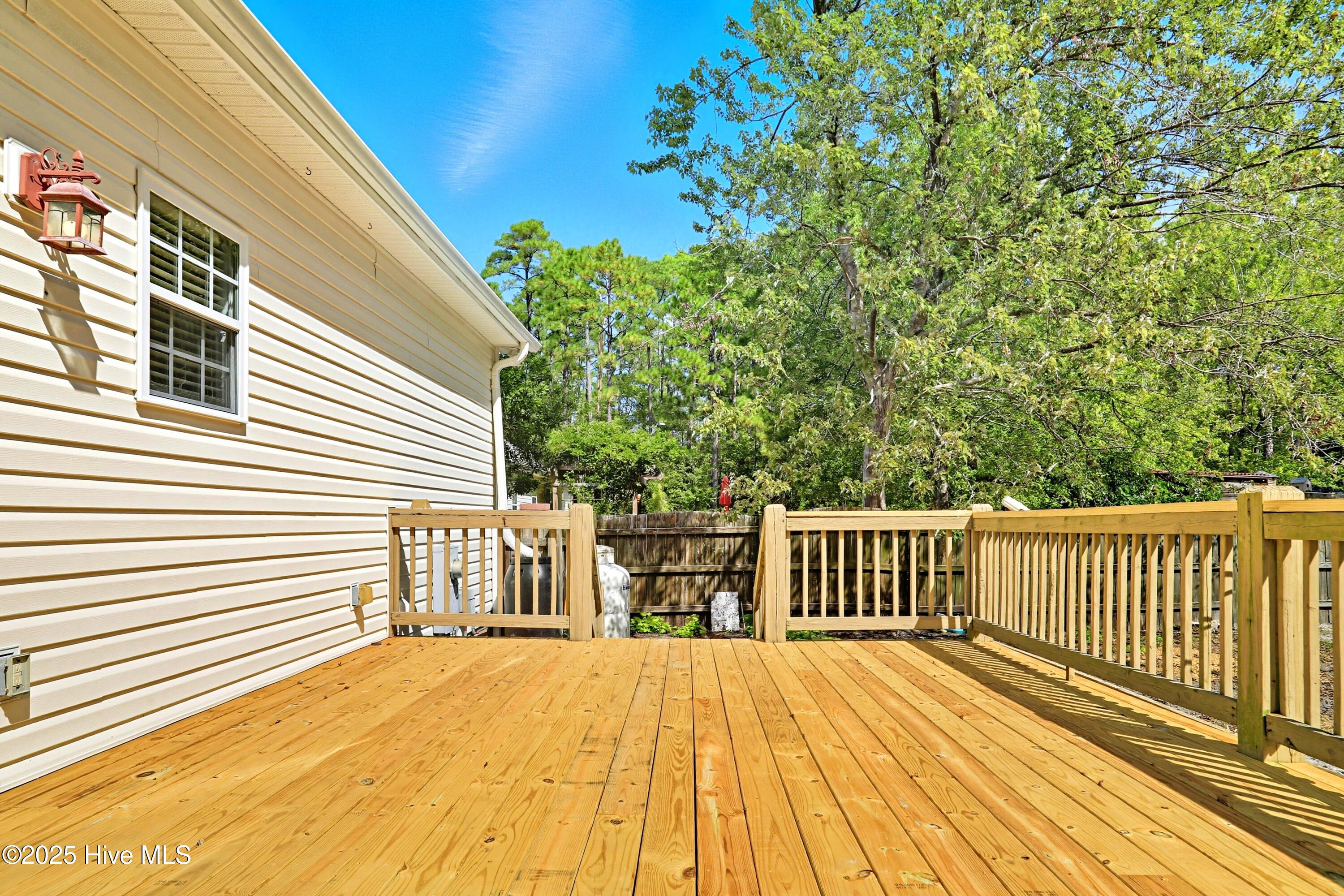 100529076 | Photo 39