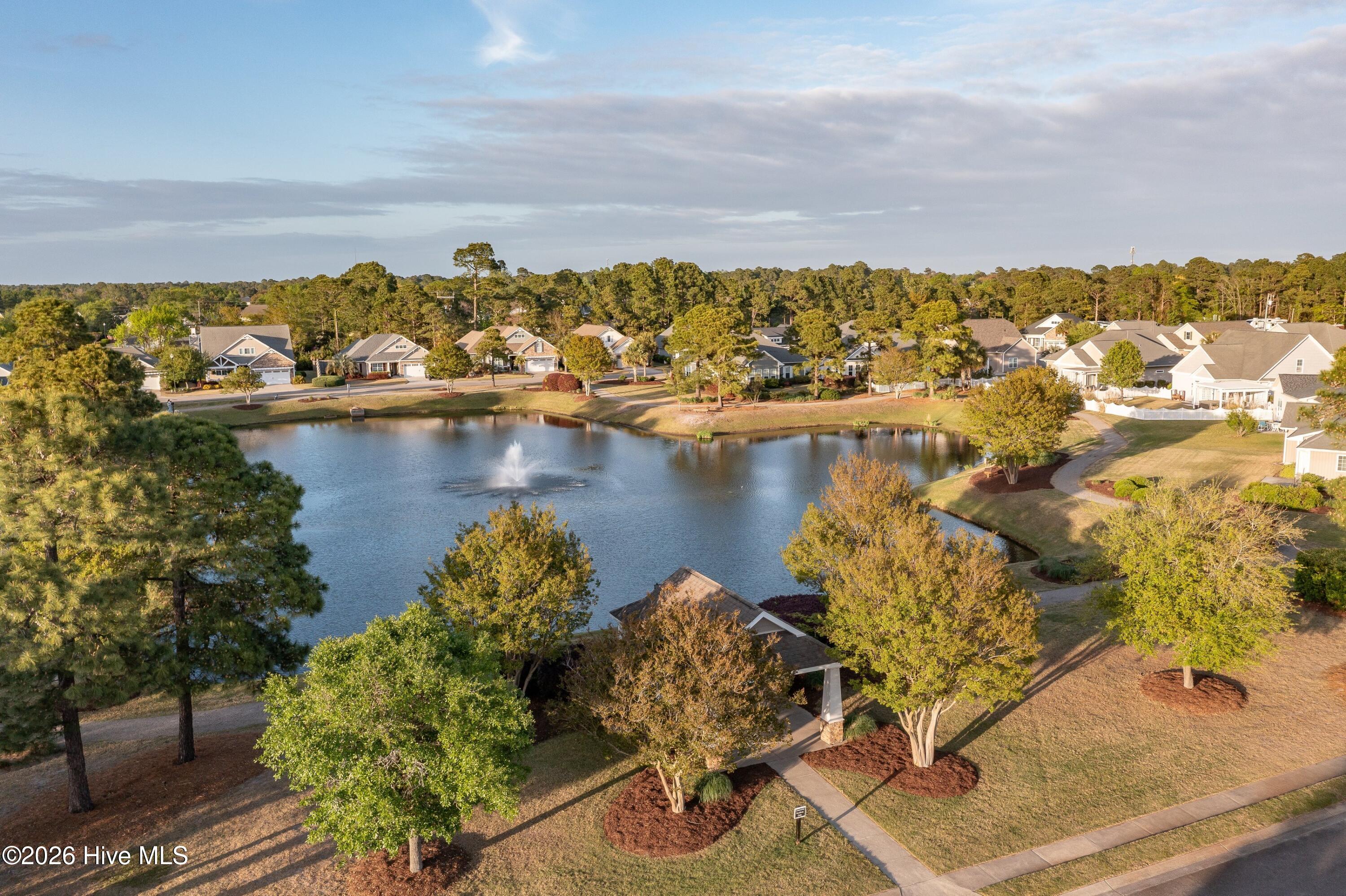 100566210 | Photo 37