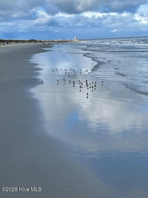 100560957 | Photo 68