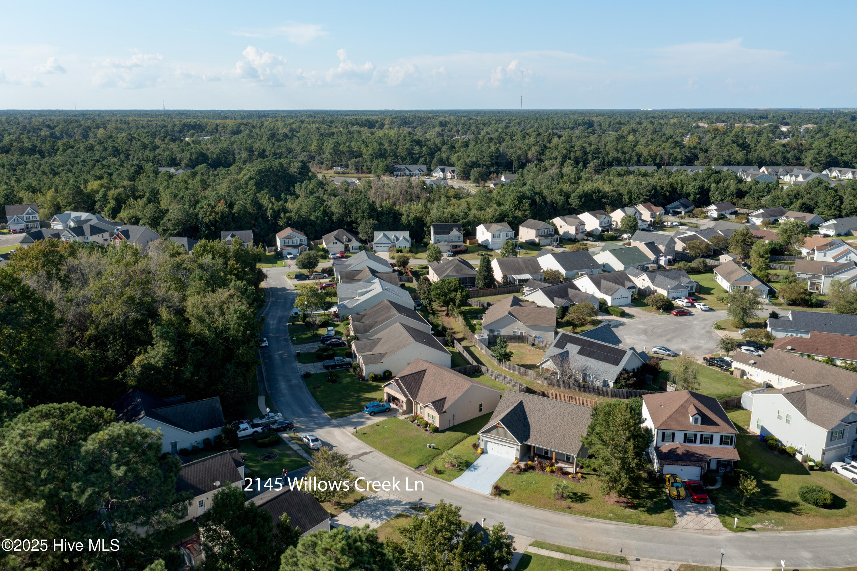 100530947 | Photo 48