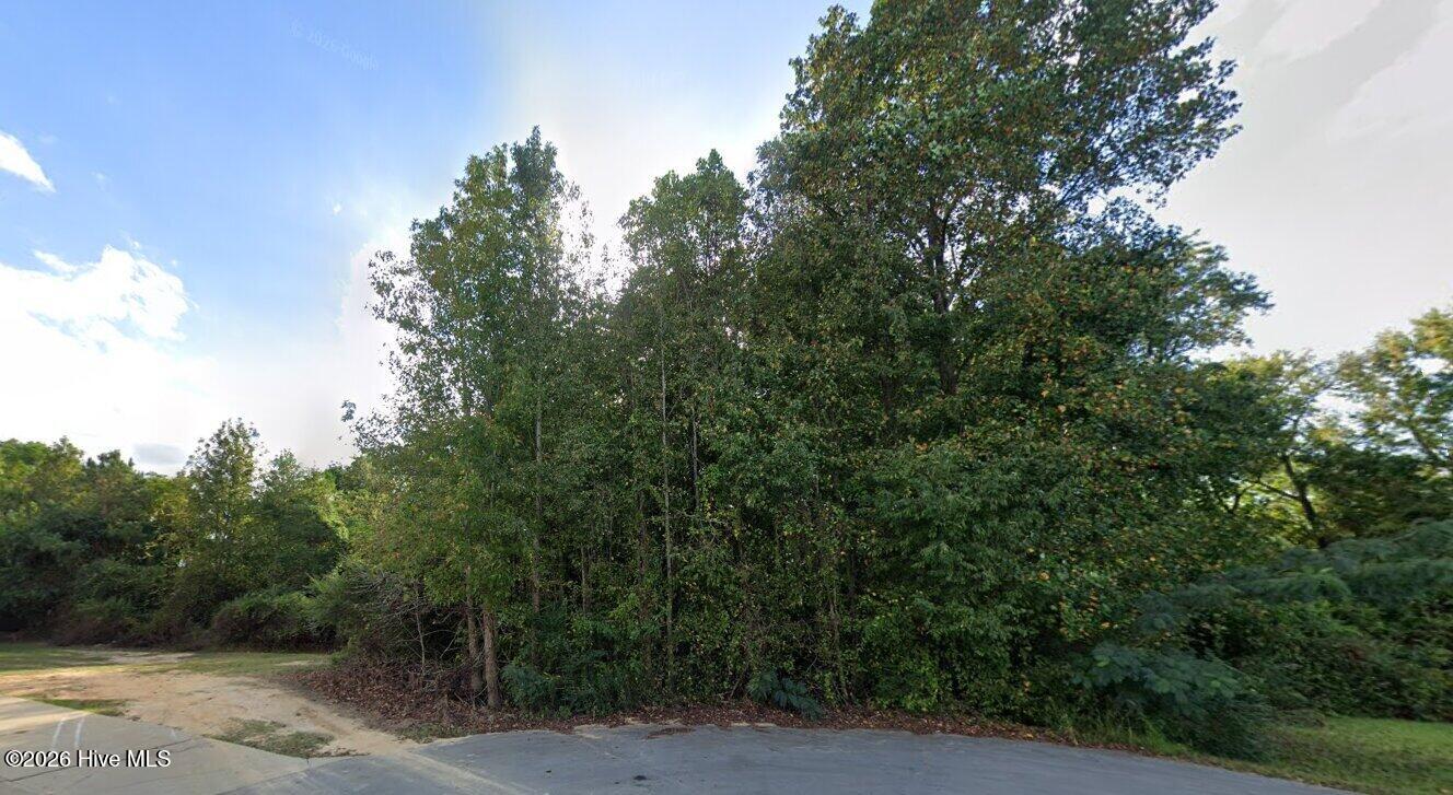 Homes for sale in Clinton, NC | 00 Livingston Ln, Clinton, NC 28328 | MLS# 100582826
