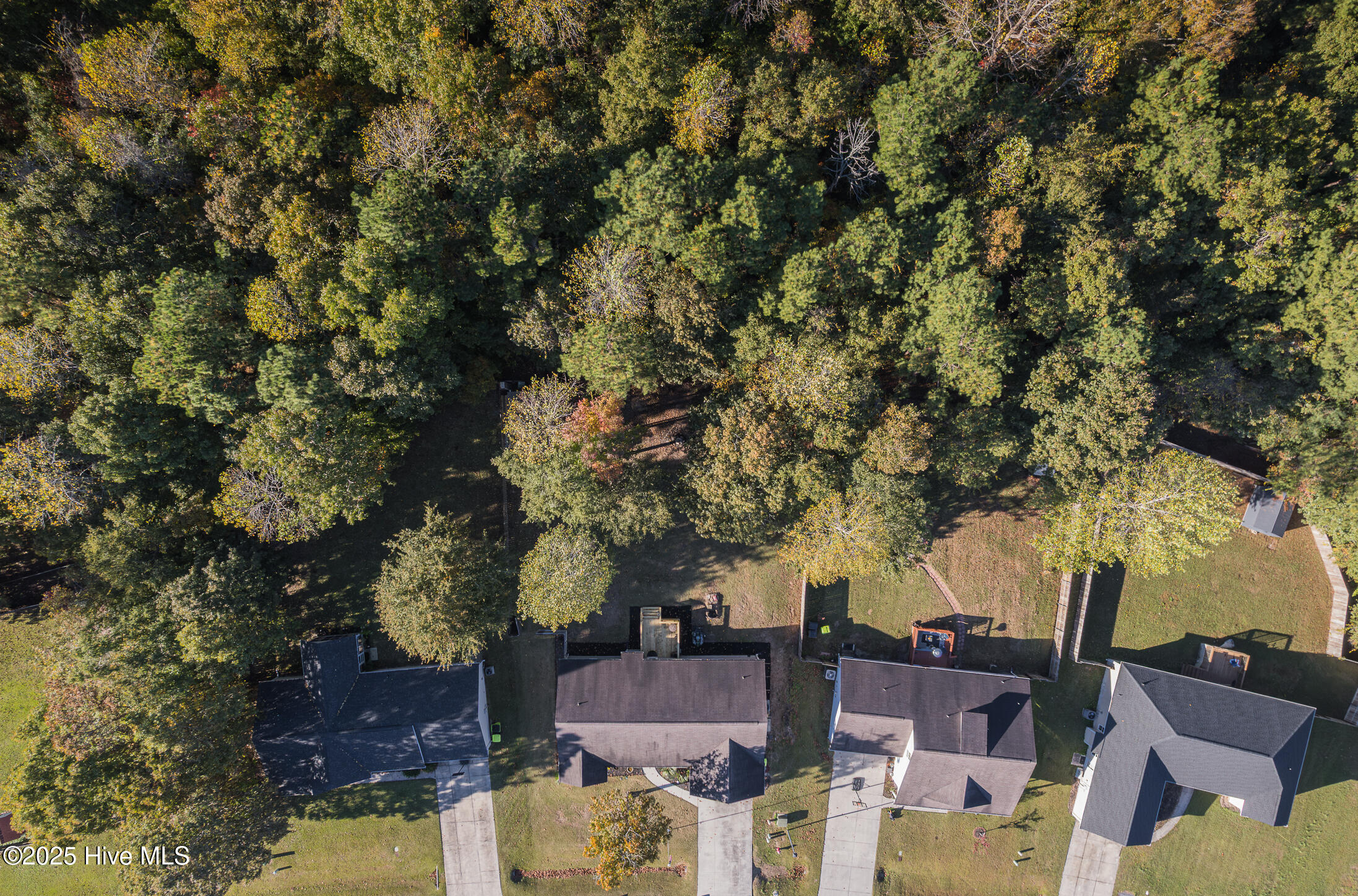 100538539 | Photo 46