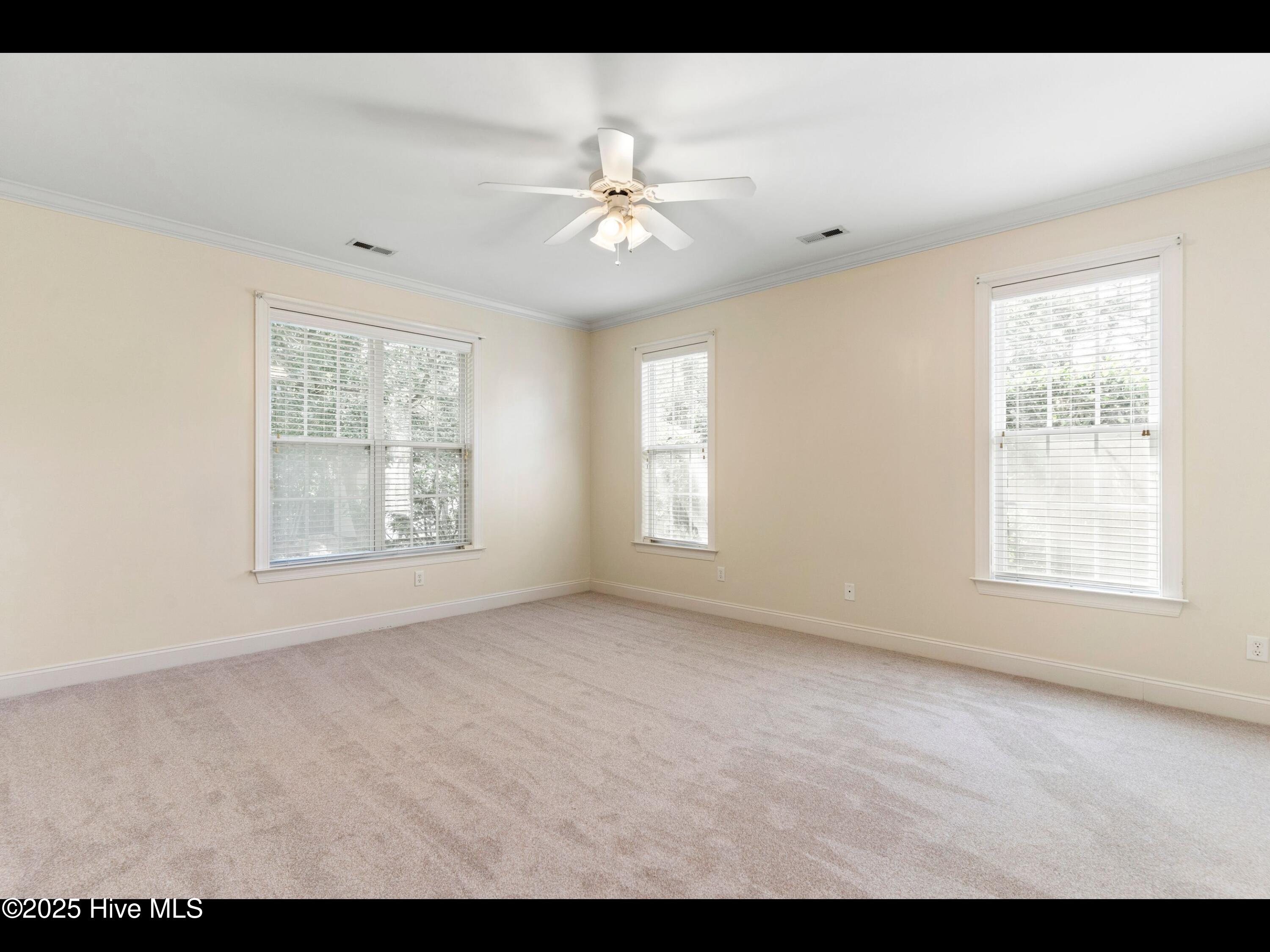 100509551 | Photo 17