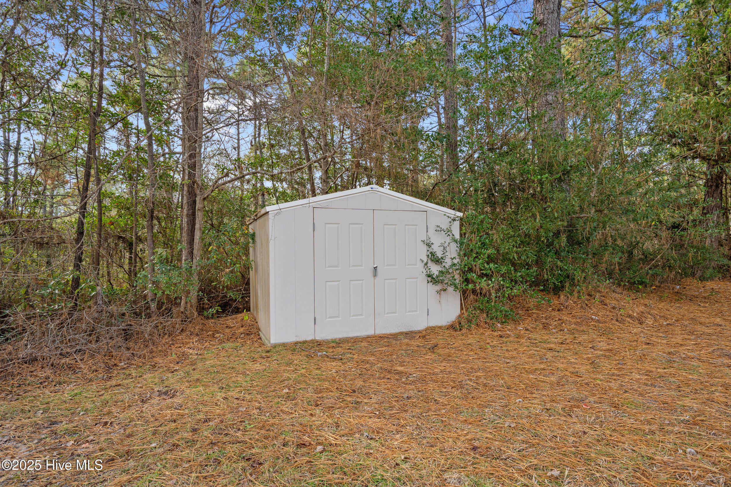 100544386 | Photo 29