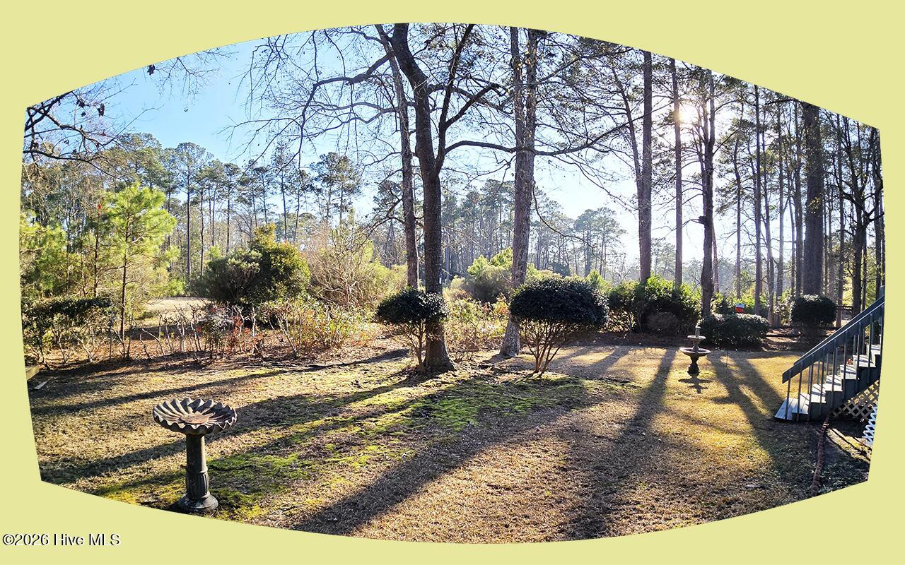 100551235 | Photo 31