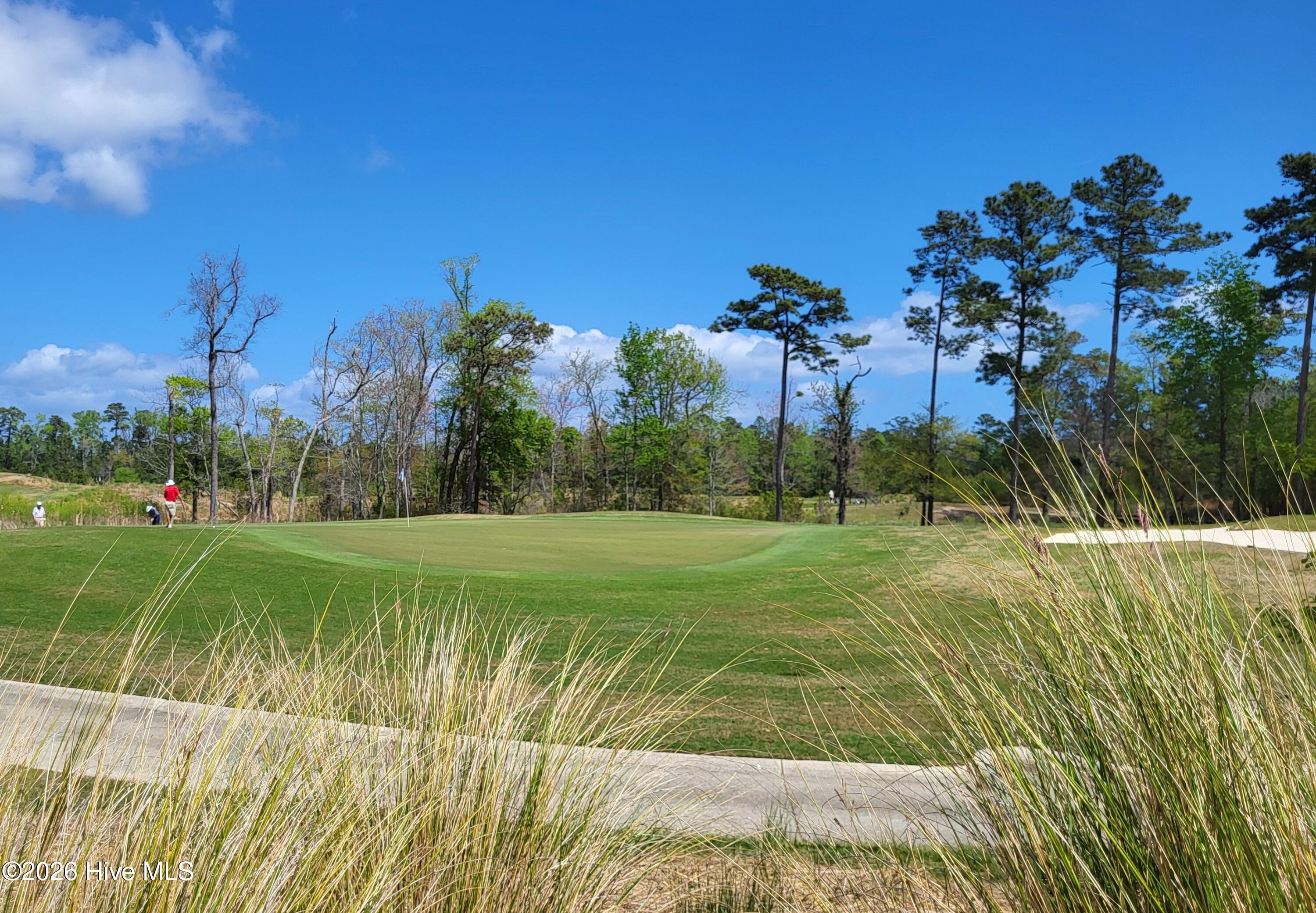 100564623 | Photo 40