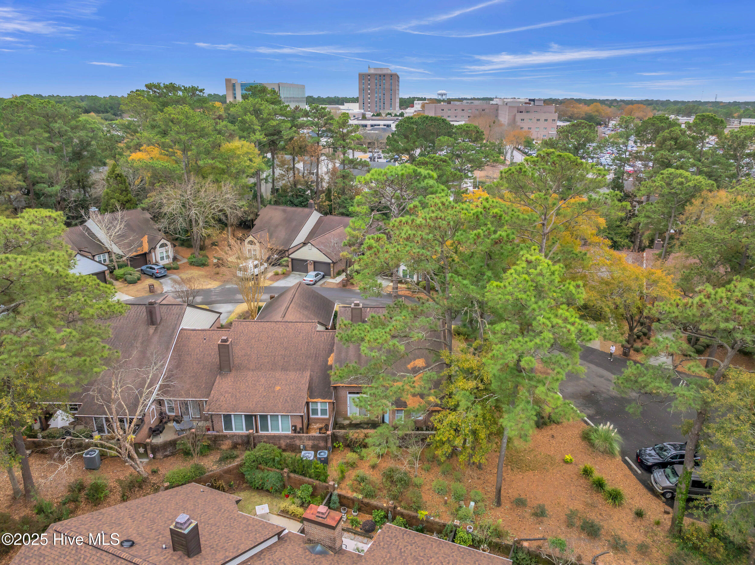 100546535 | Photo 45