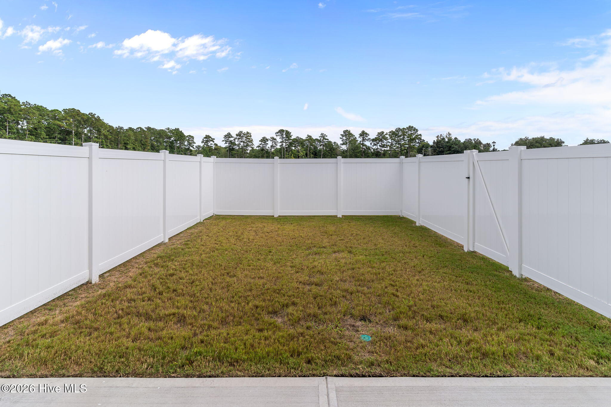 100524555 | Photo 11