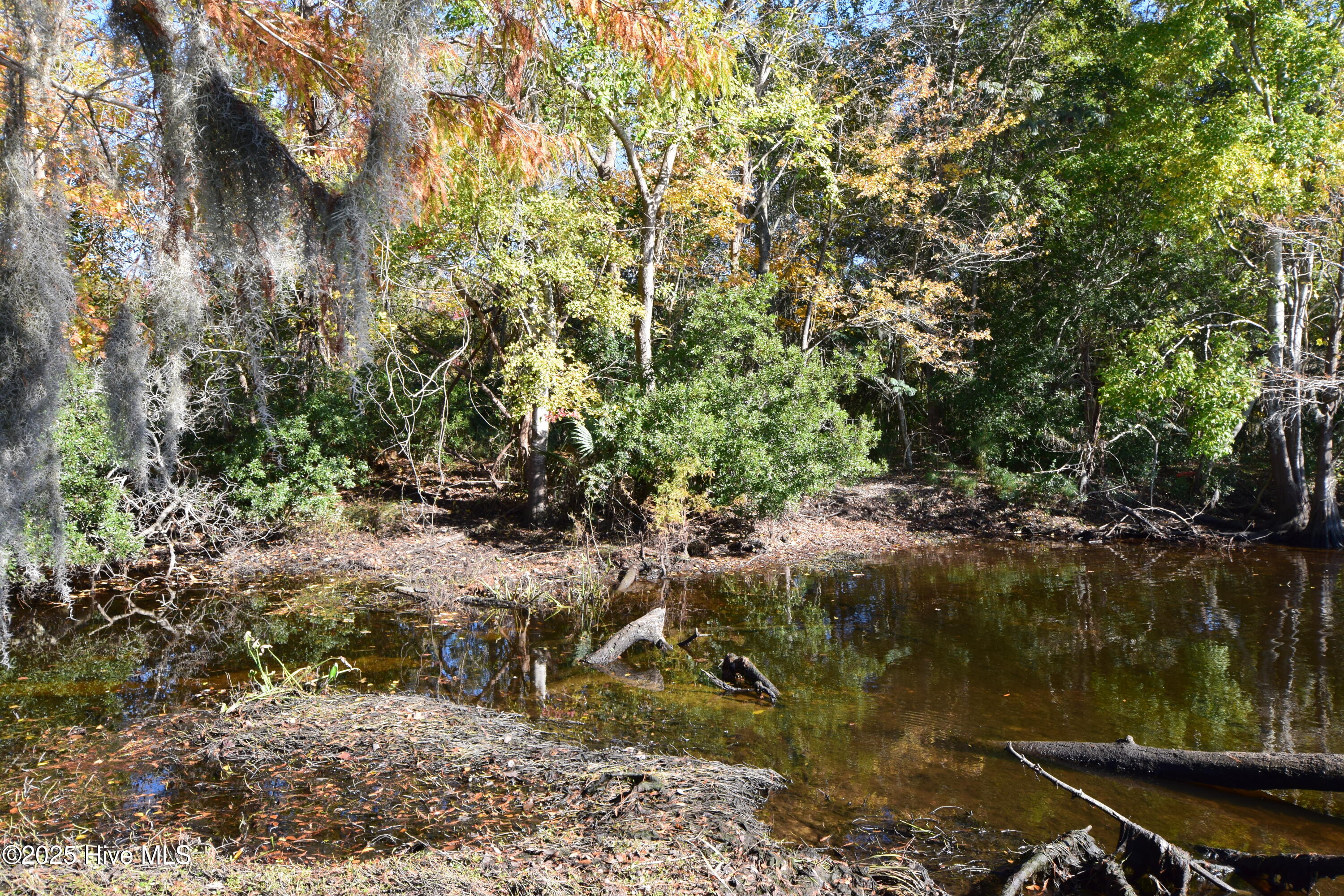 246 Shoreline Drive, New Bern, NC, 28562