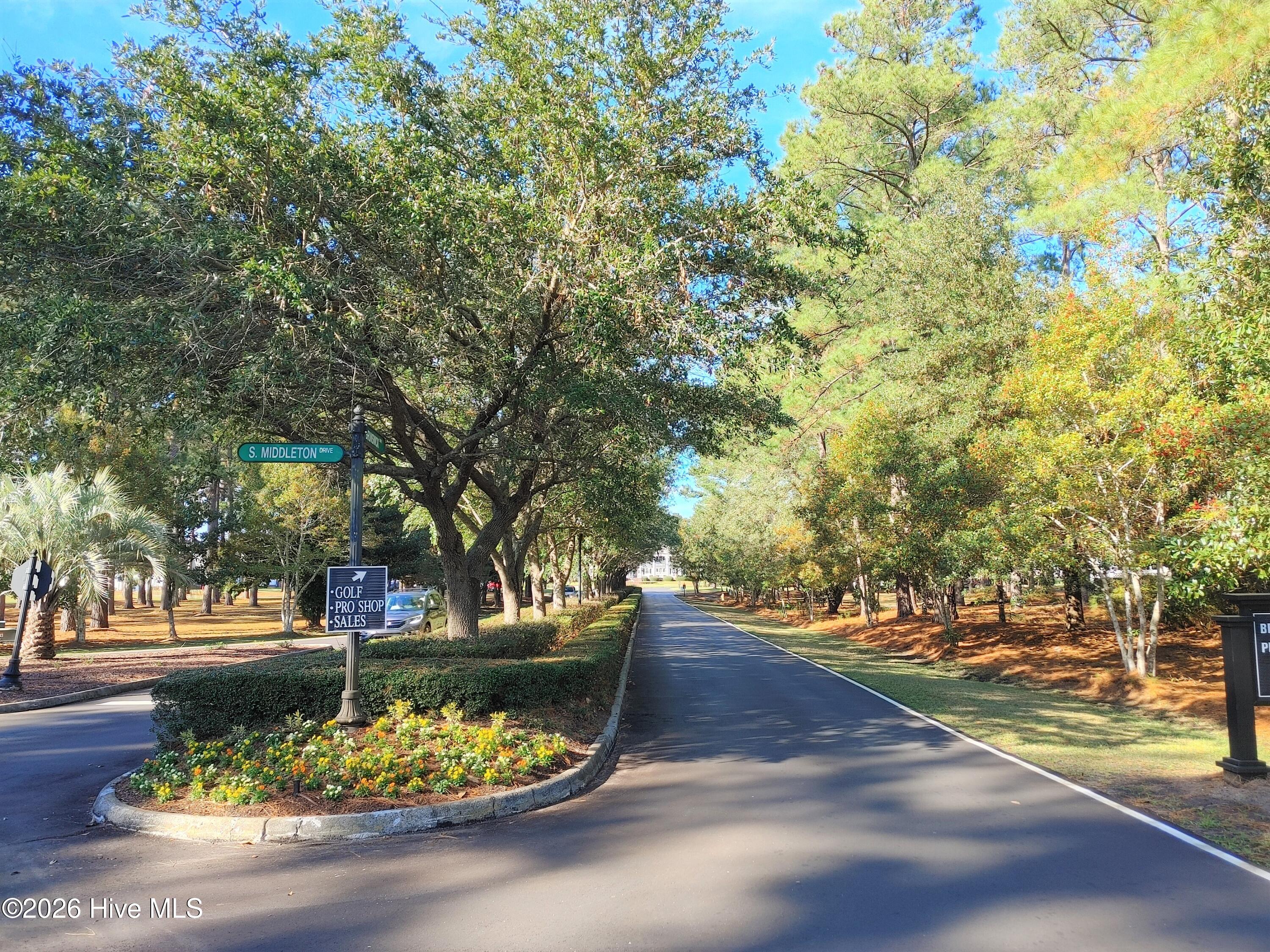 100559220 | Photo 69