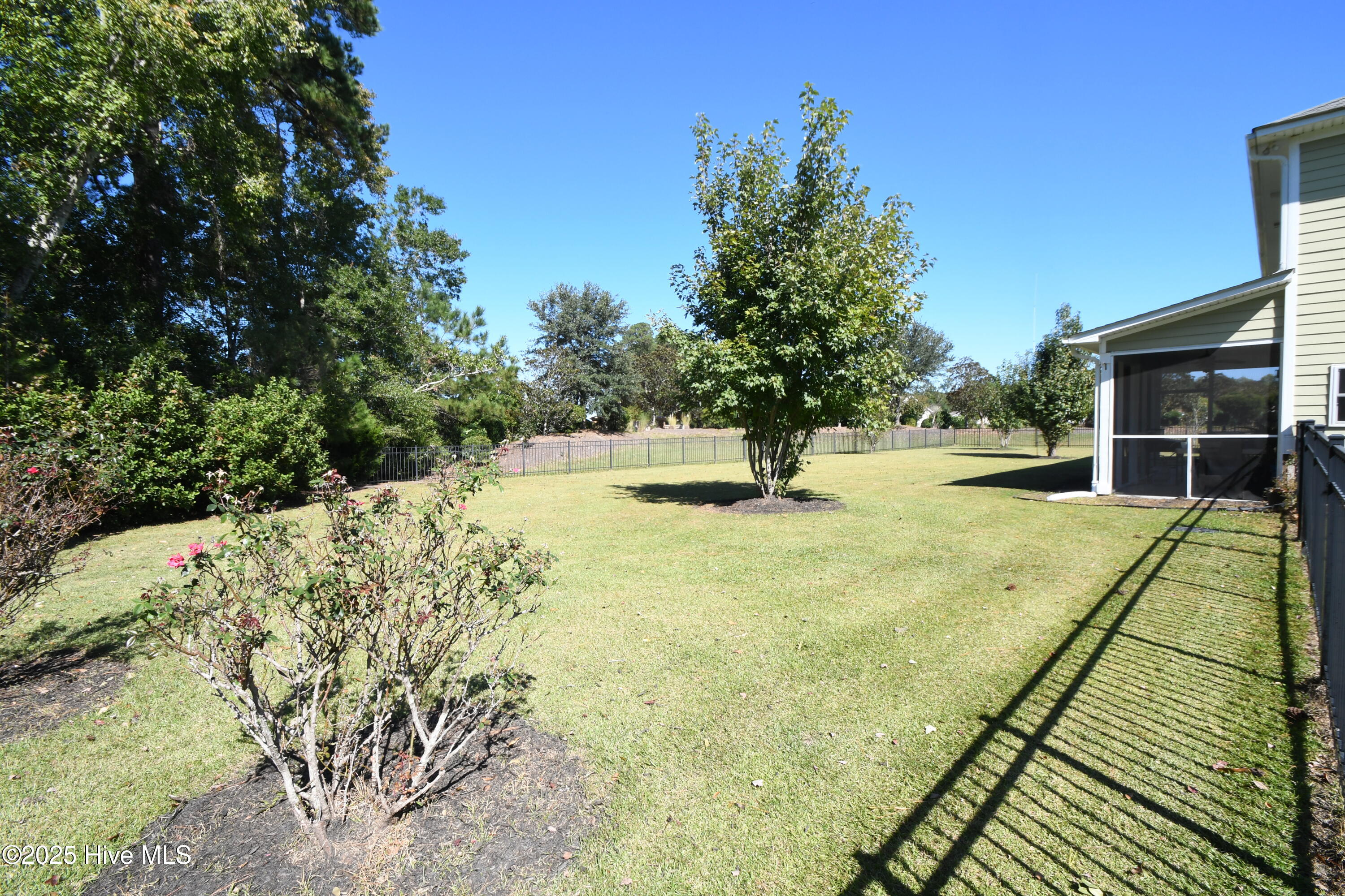 100537590 | Photo 36