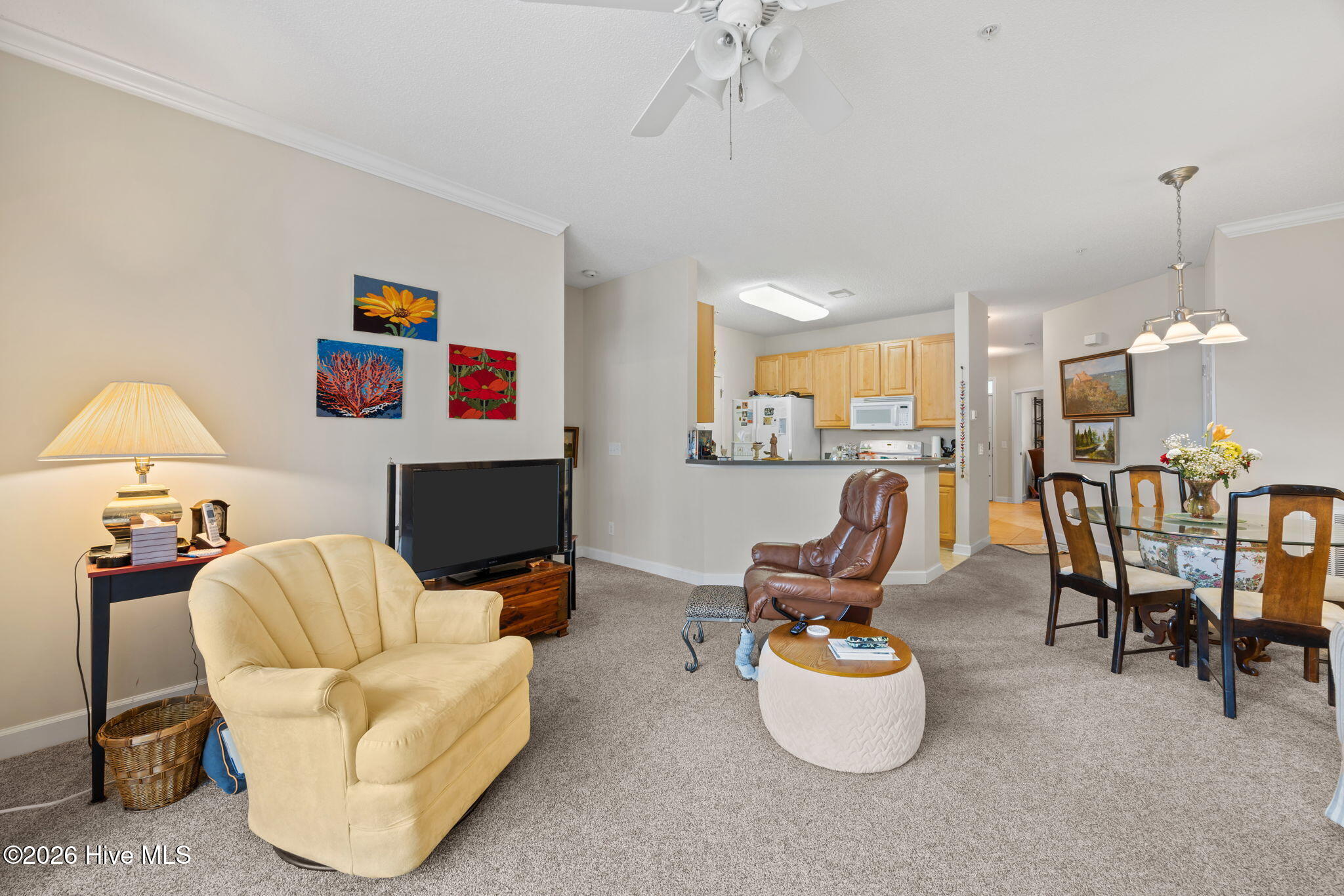 100556722 | Photo 17