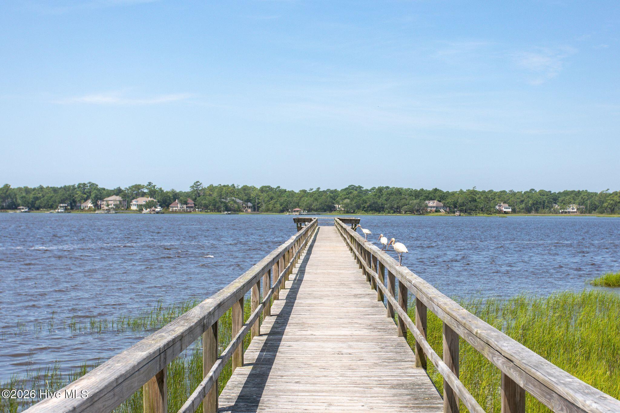 100563683 | Photo 39