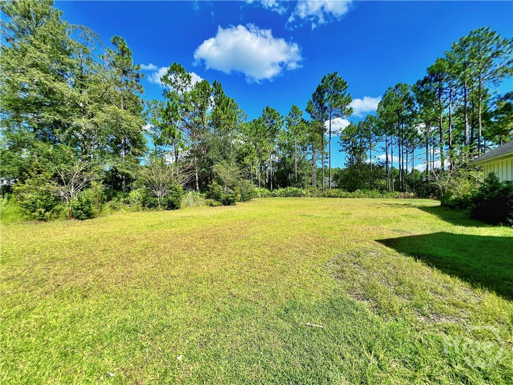 13 N Eagle Drive, Jesup, GA, 31546