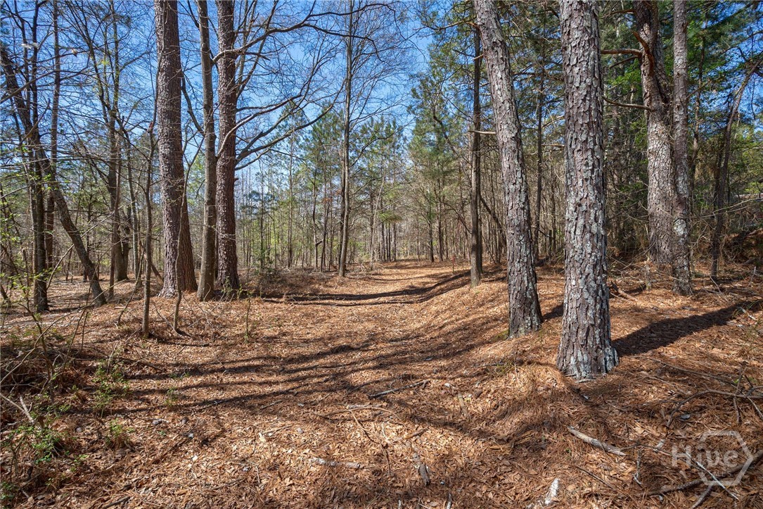 0 Poplar Street, Monroe, GA, 30655