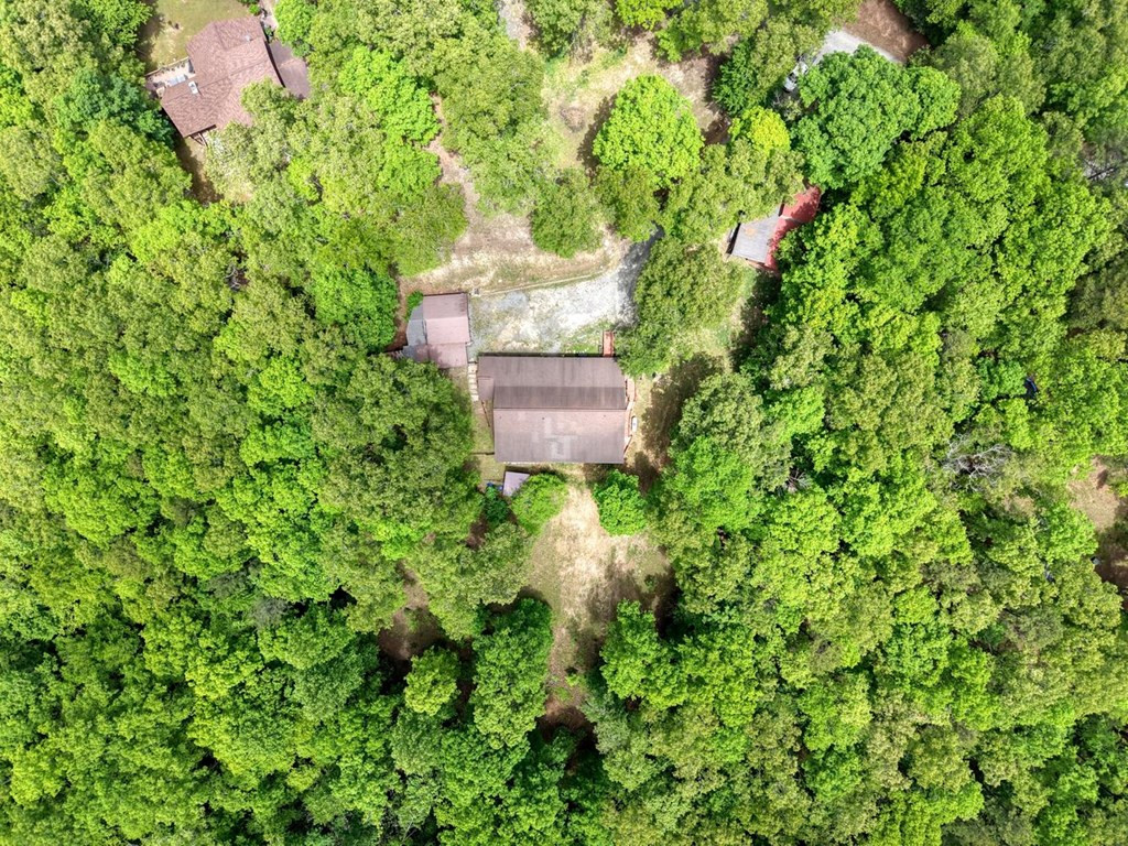 277 Clay Durrett Road, Murphy, NC 28906 Listing Photo  73