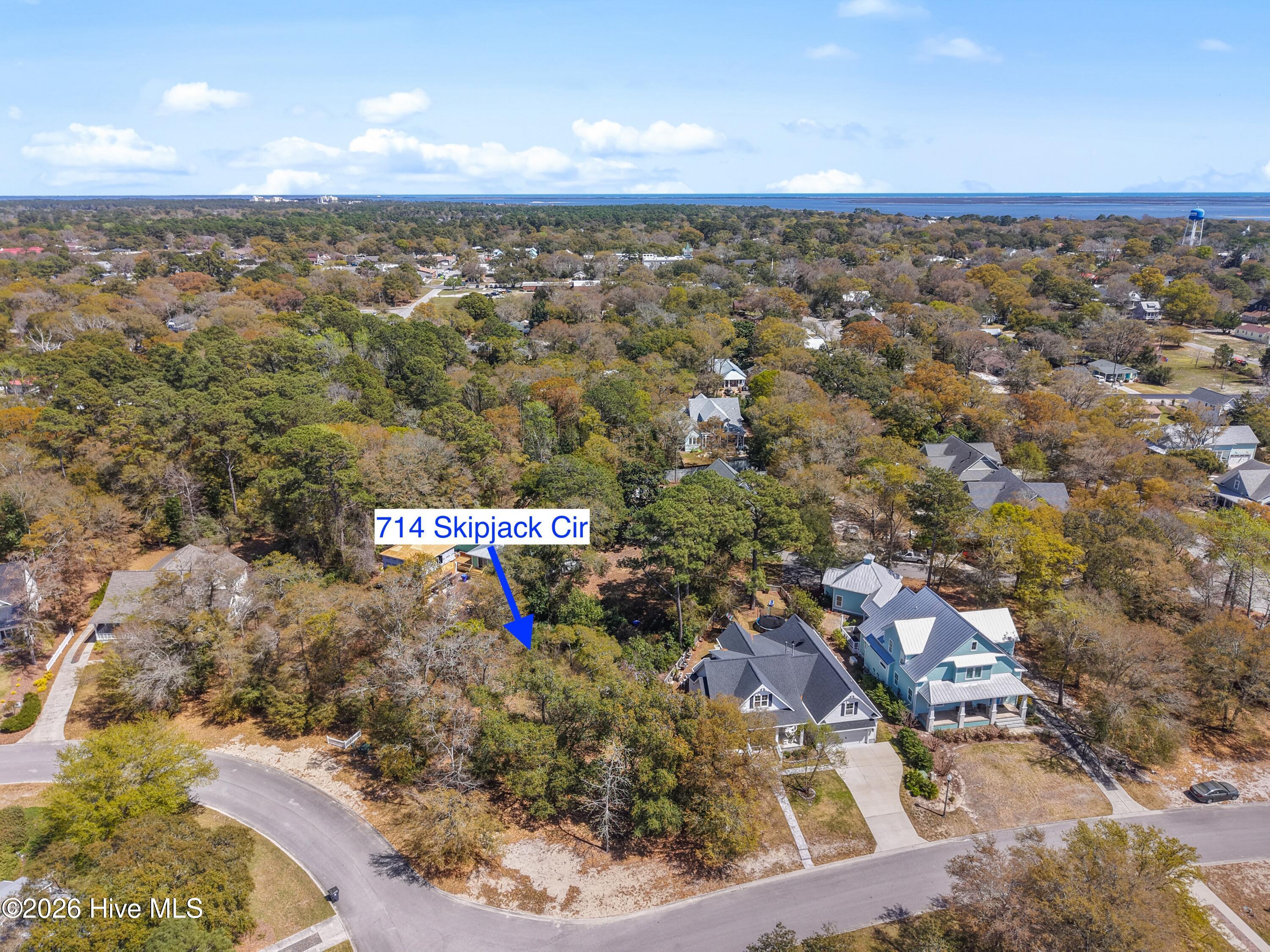 100563883 | Photo 14