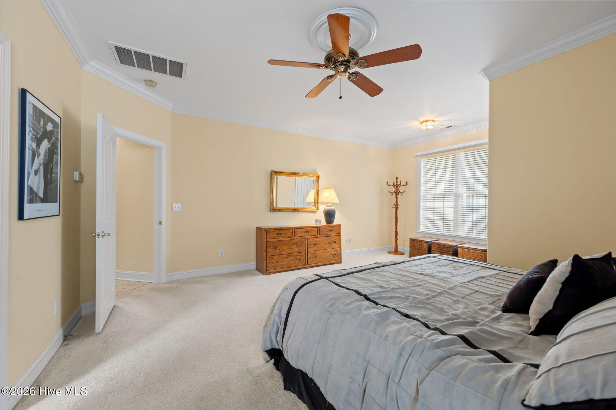 100552548 | Photo 26