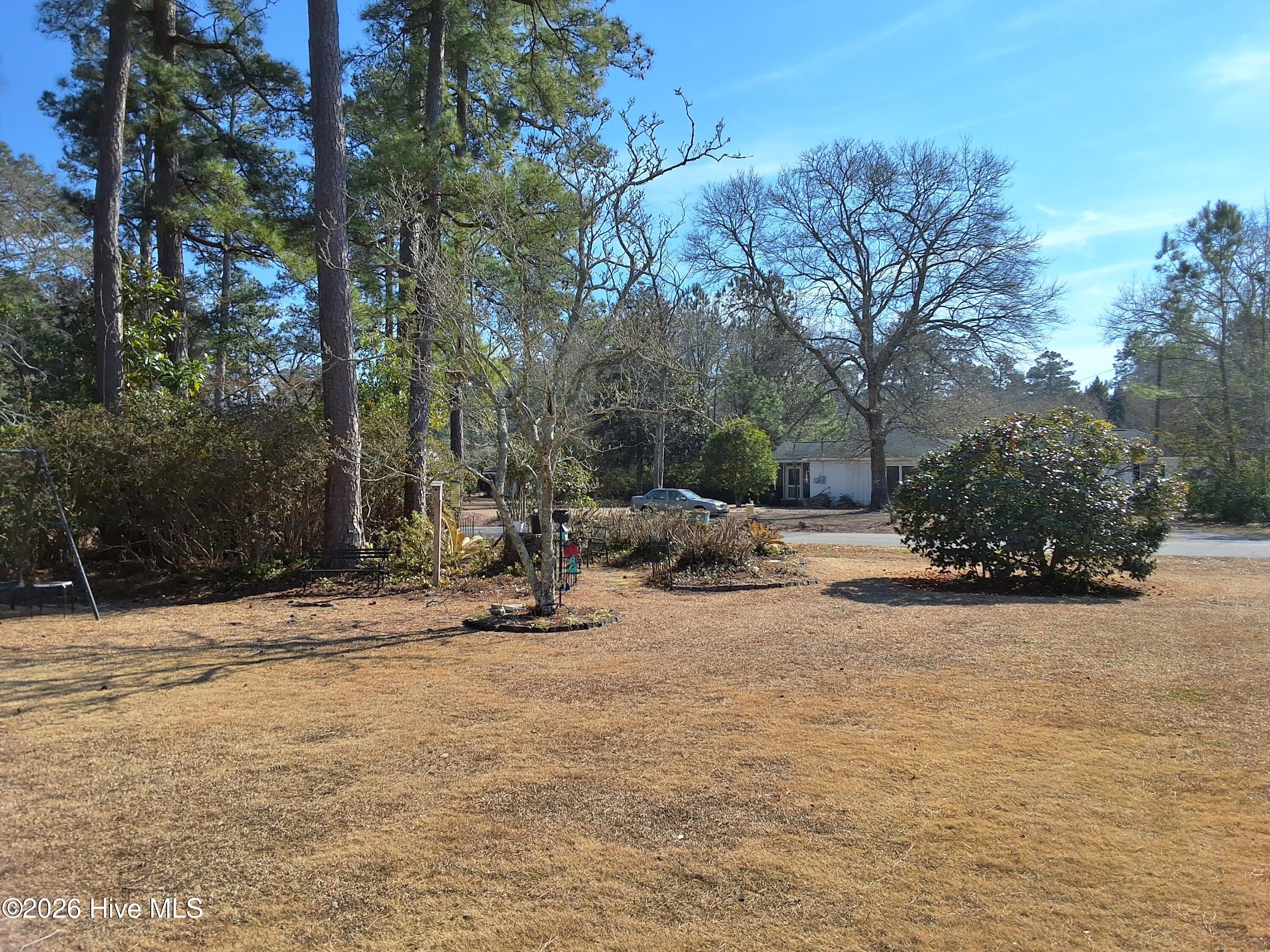 100554569 | Photo 95