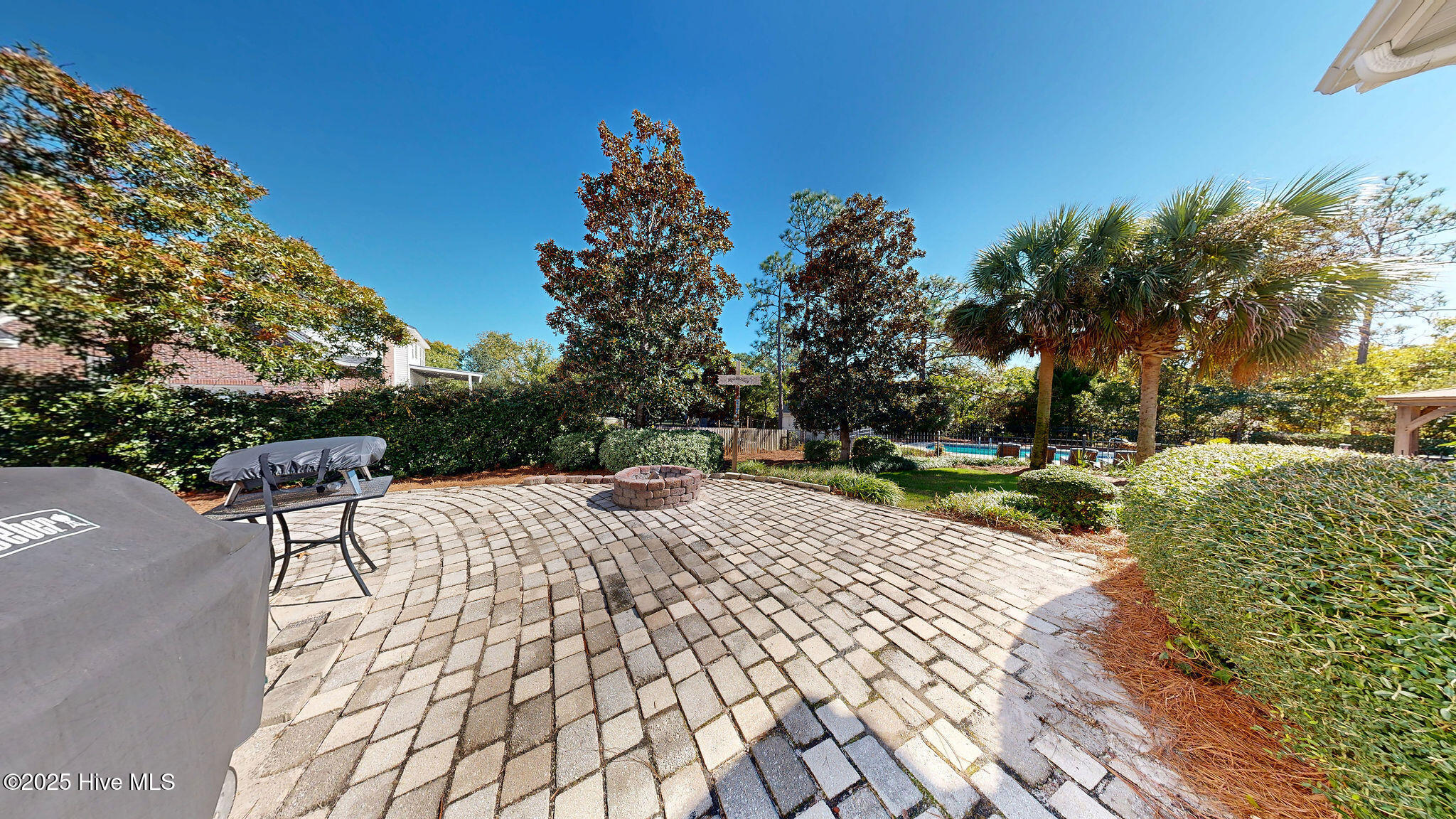 100539157 | Photo 17