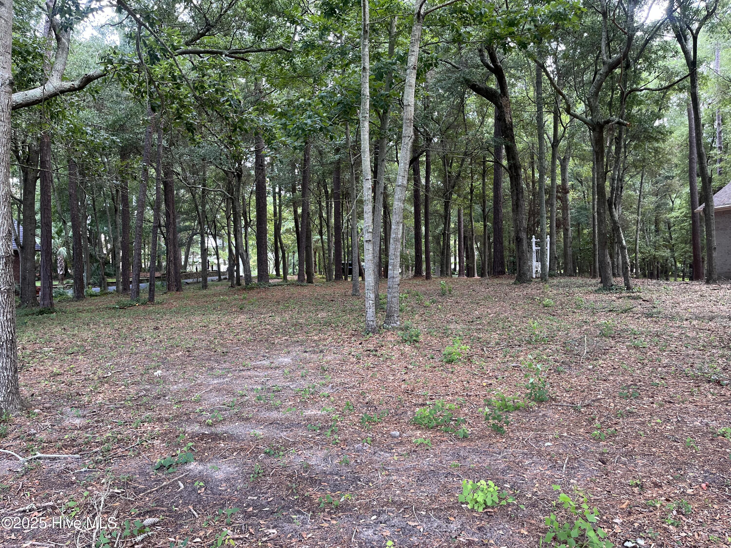 100525260 | Photo 12