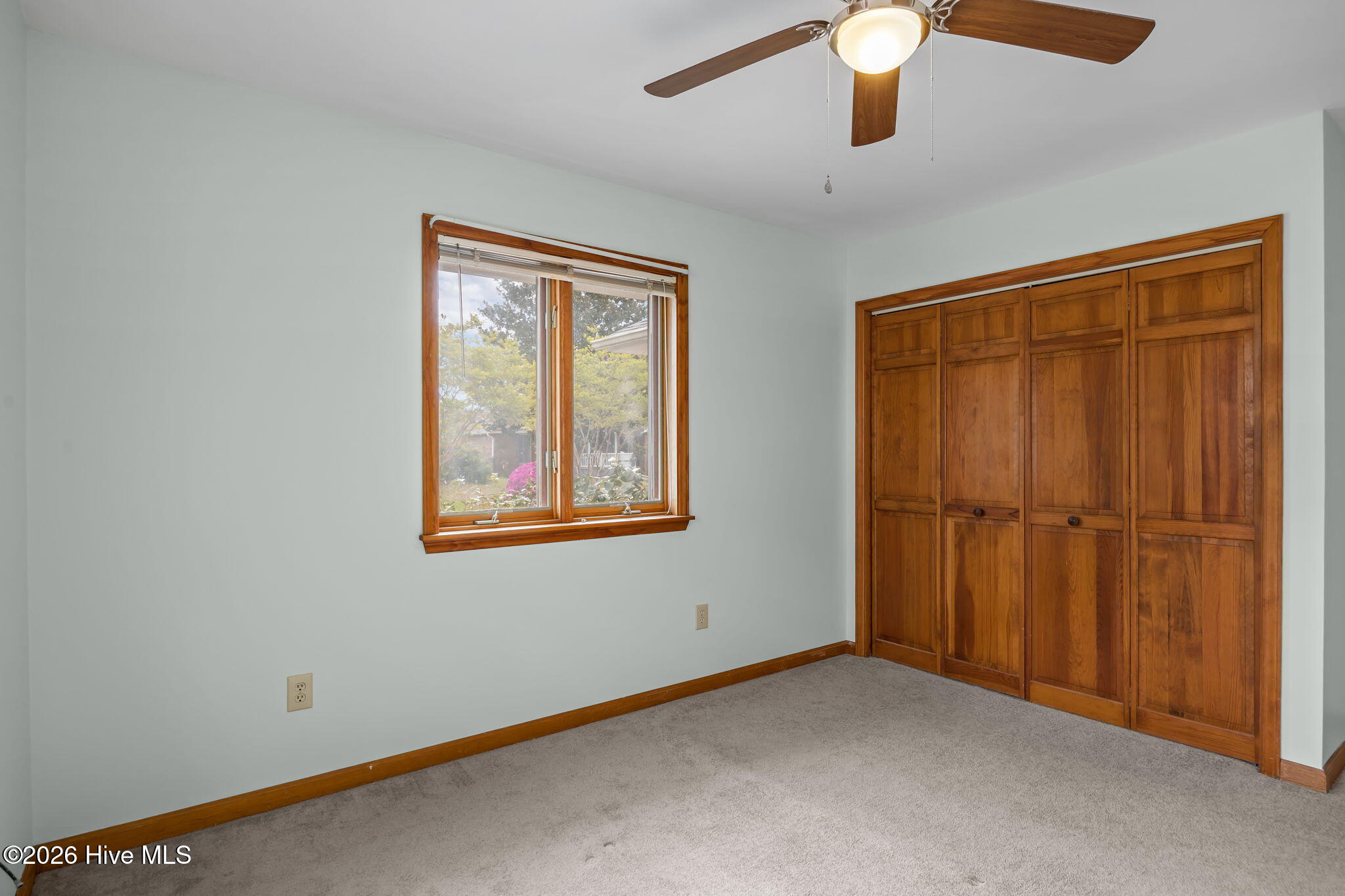 100565896 | Photo 18