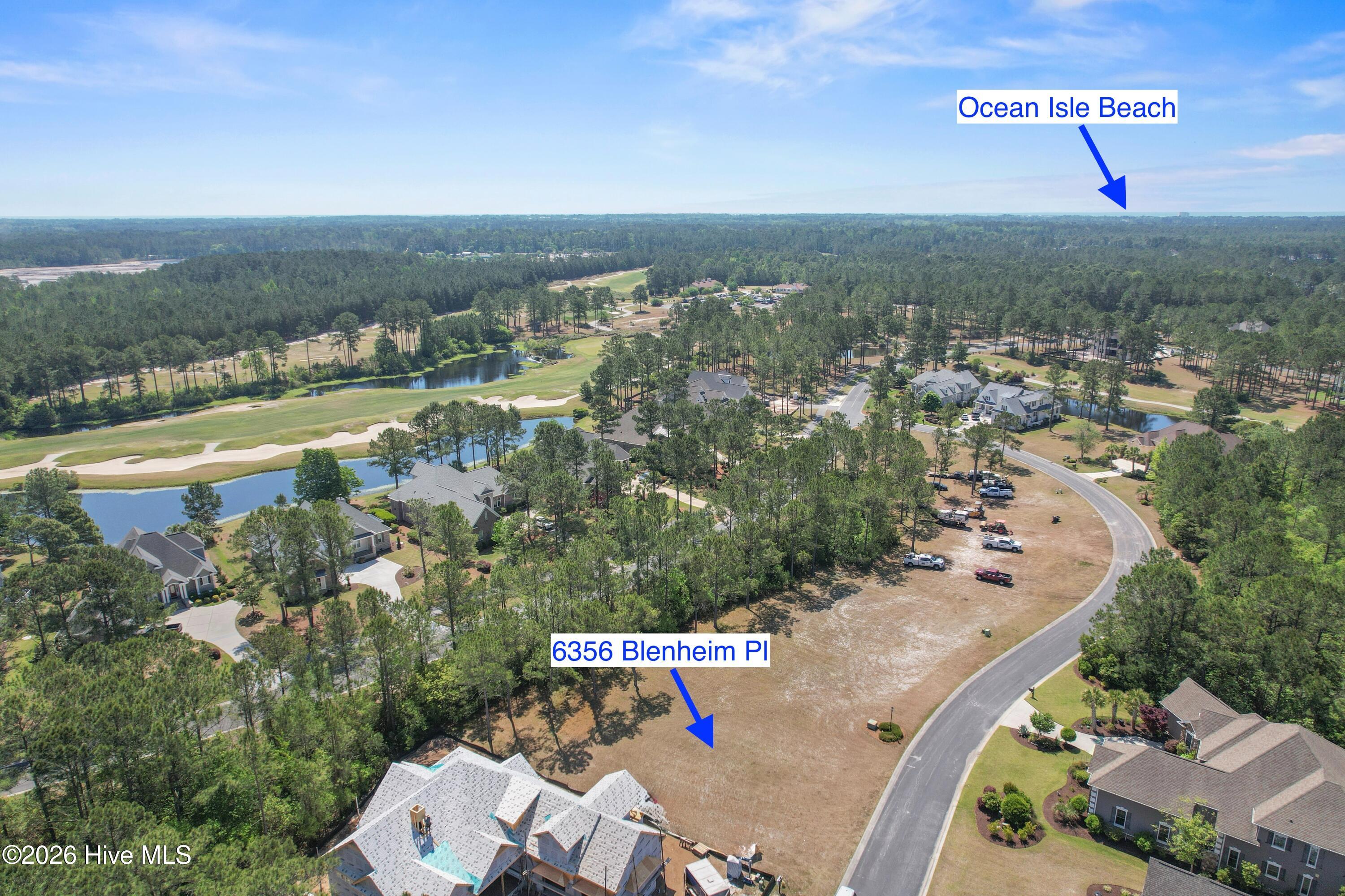 100570041 | Photo 17