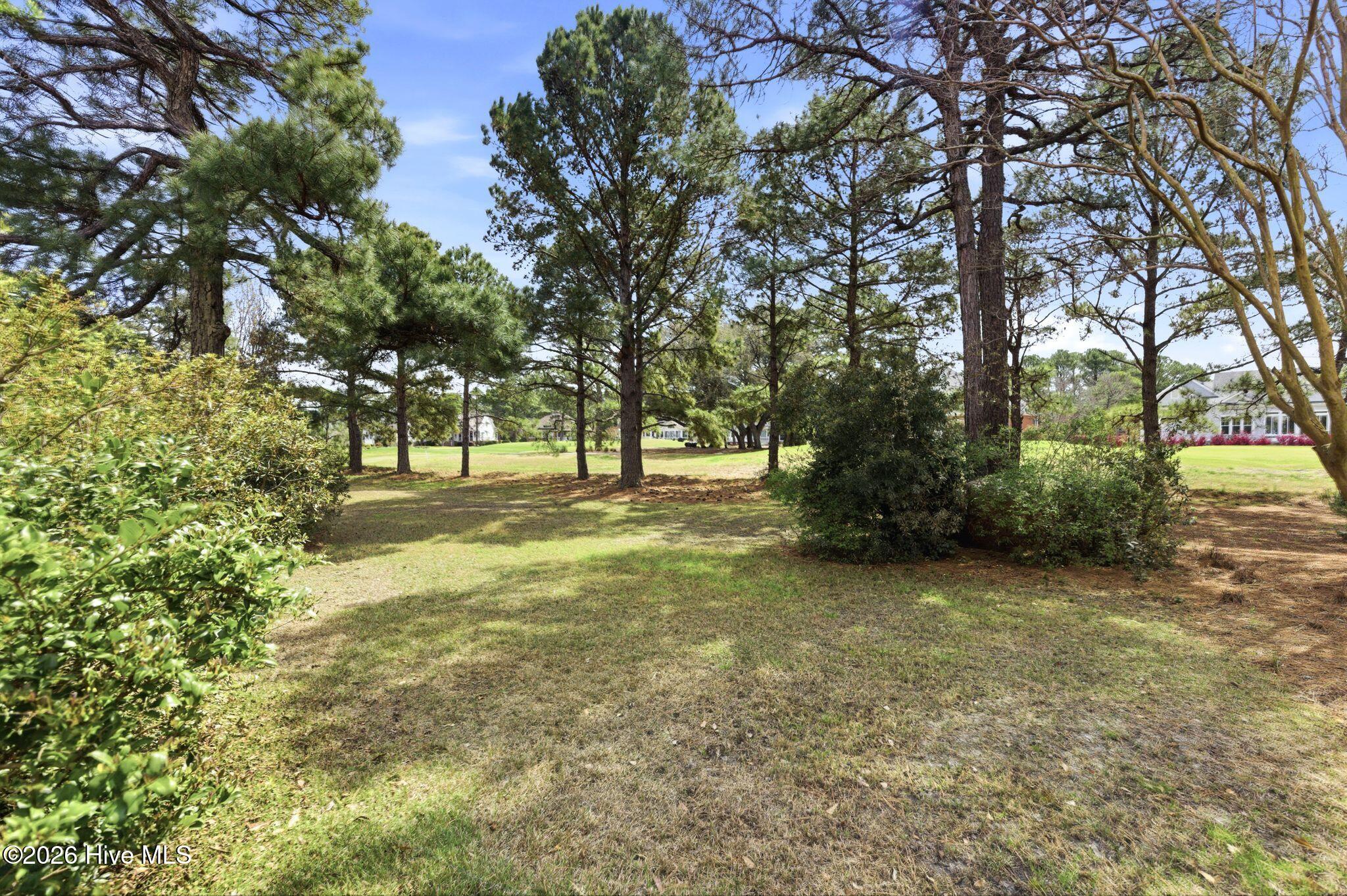 100564291 | Photo 67