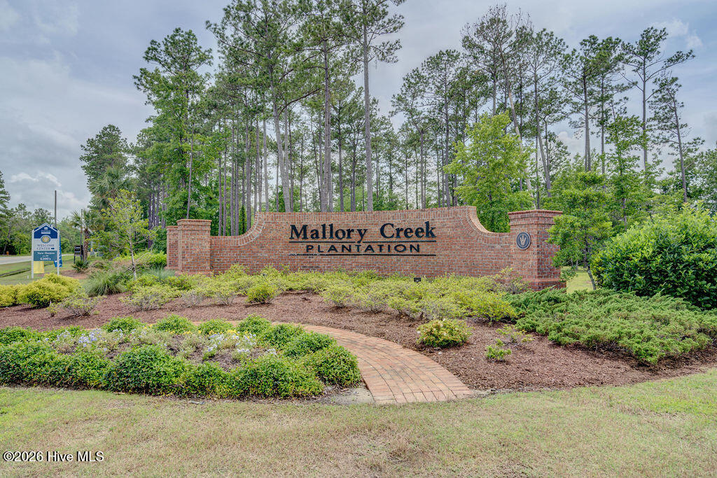 100558265 | Photo 83