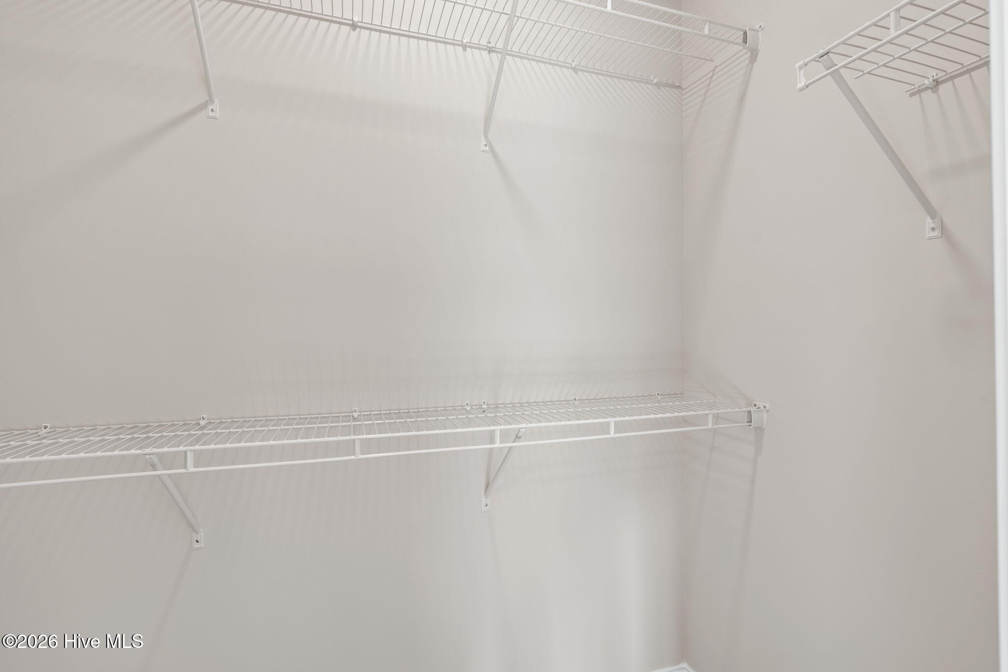 100537582 | Photo 30