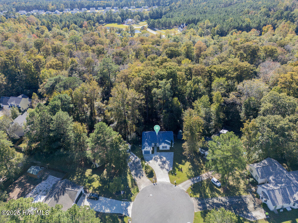 100537257 | Photo 29