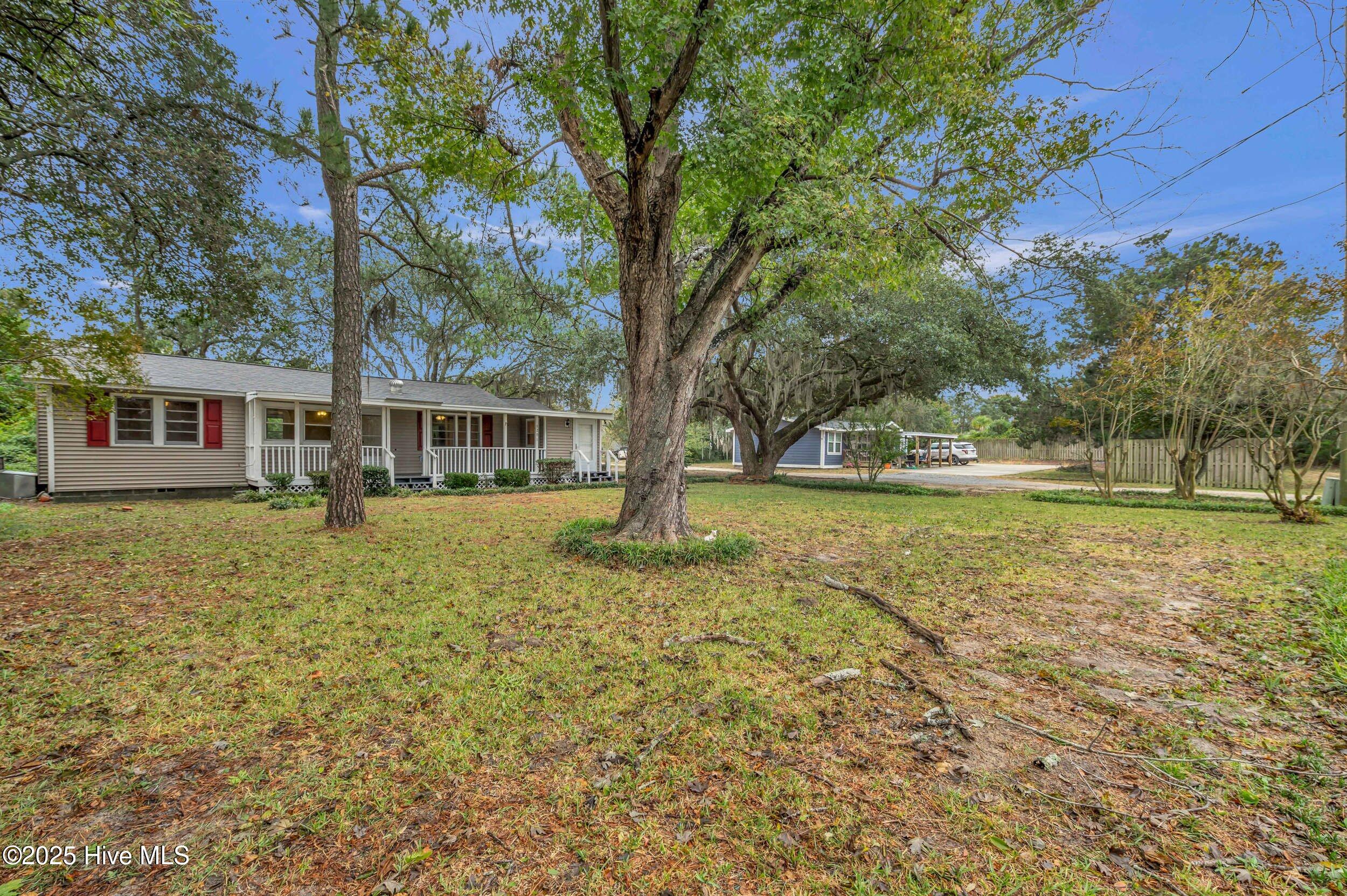 100538812 | Photo 32