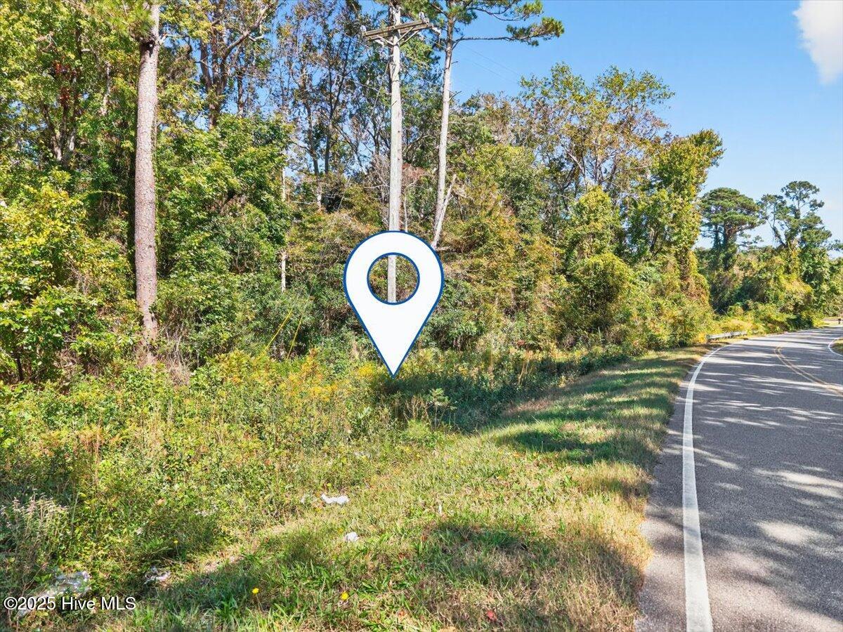 100538805 | Photo 25