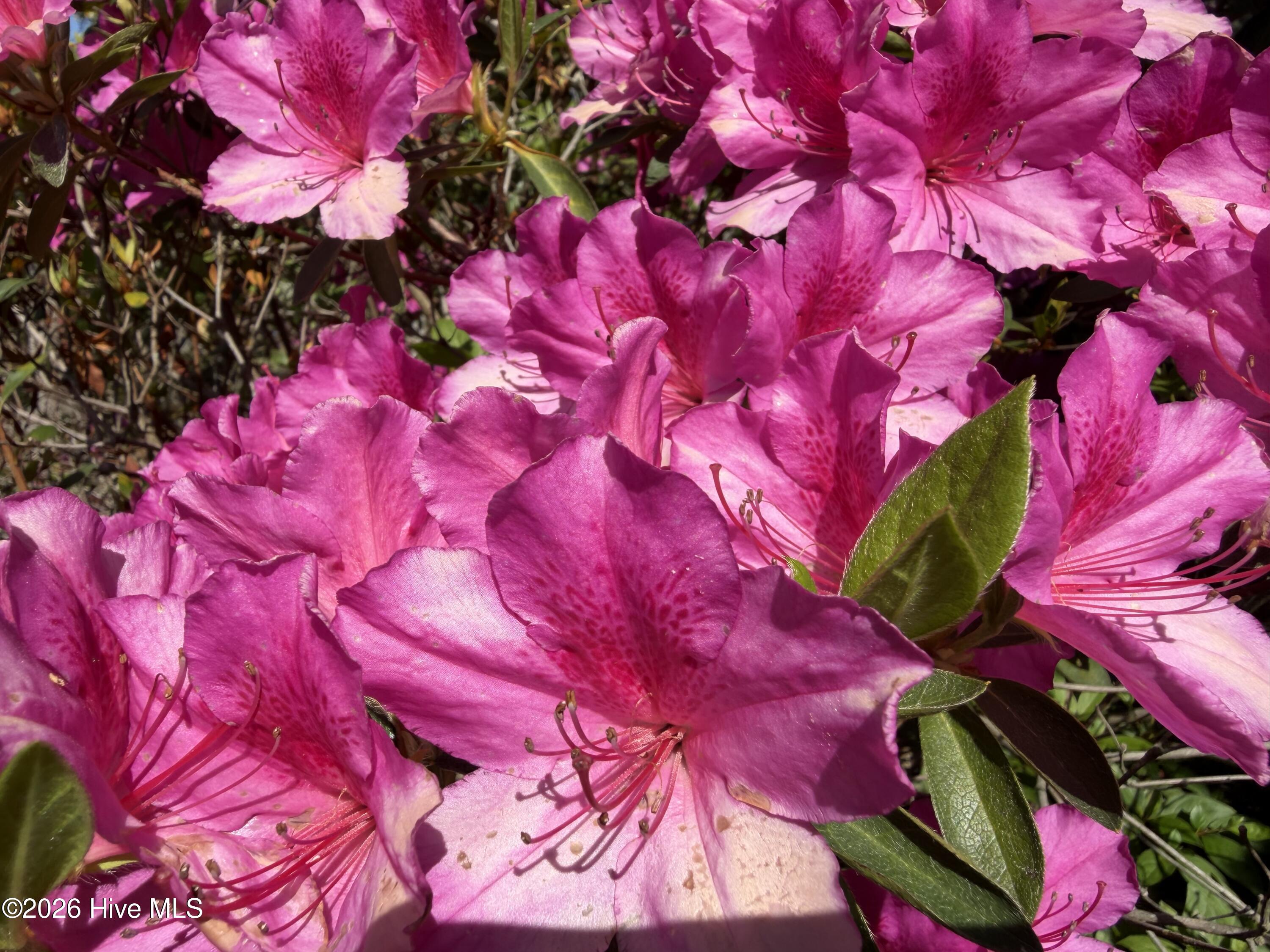 100568393 | Photo 16