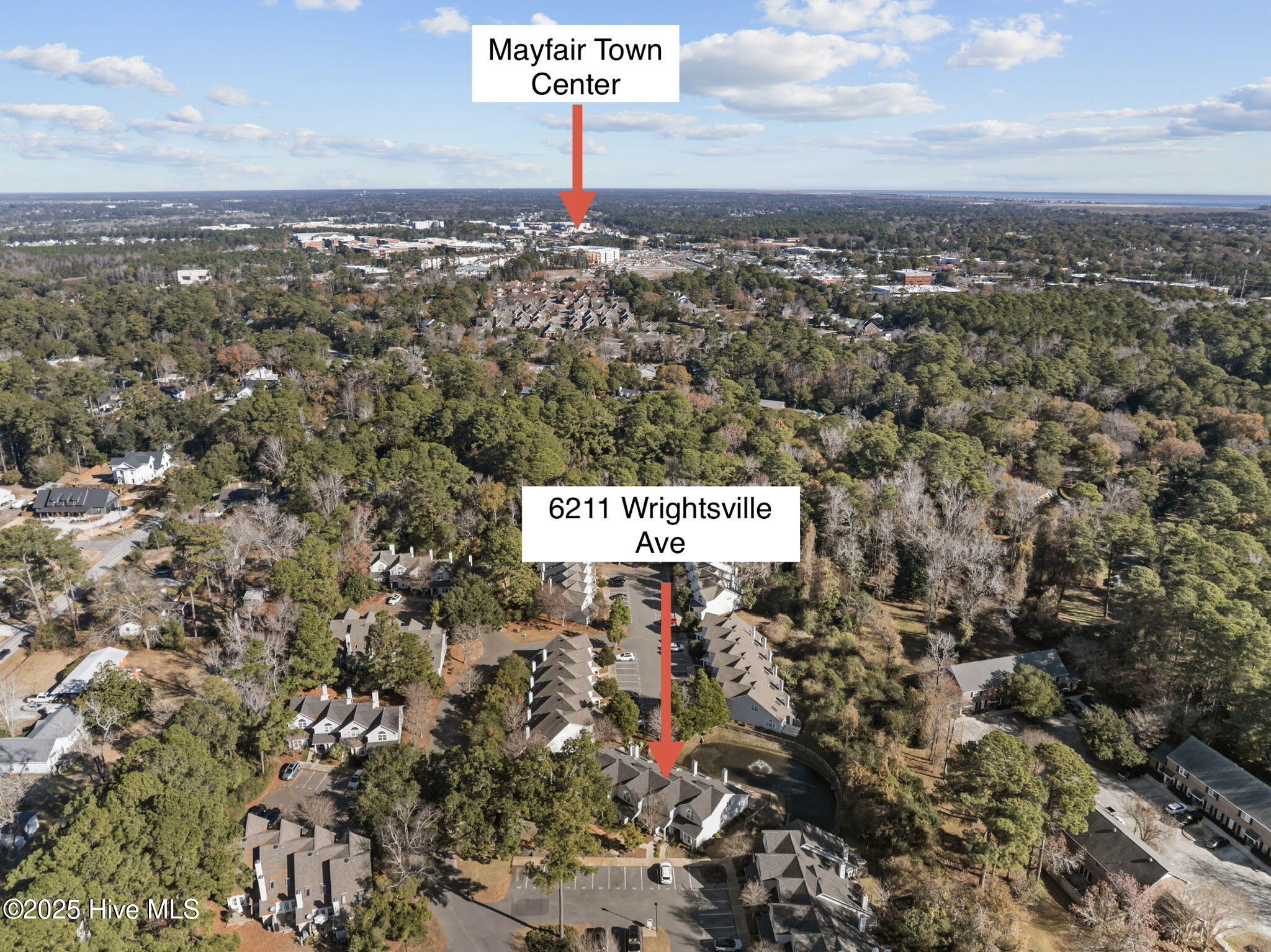 100546041 | Photo 39