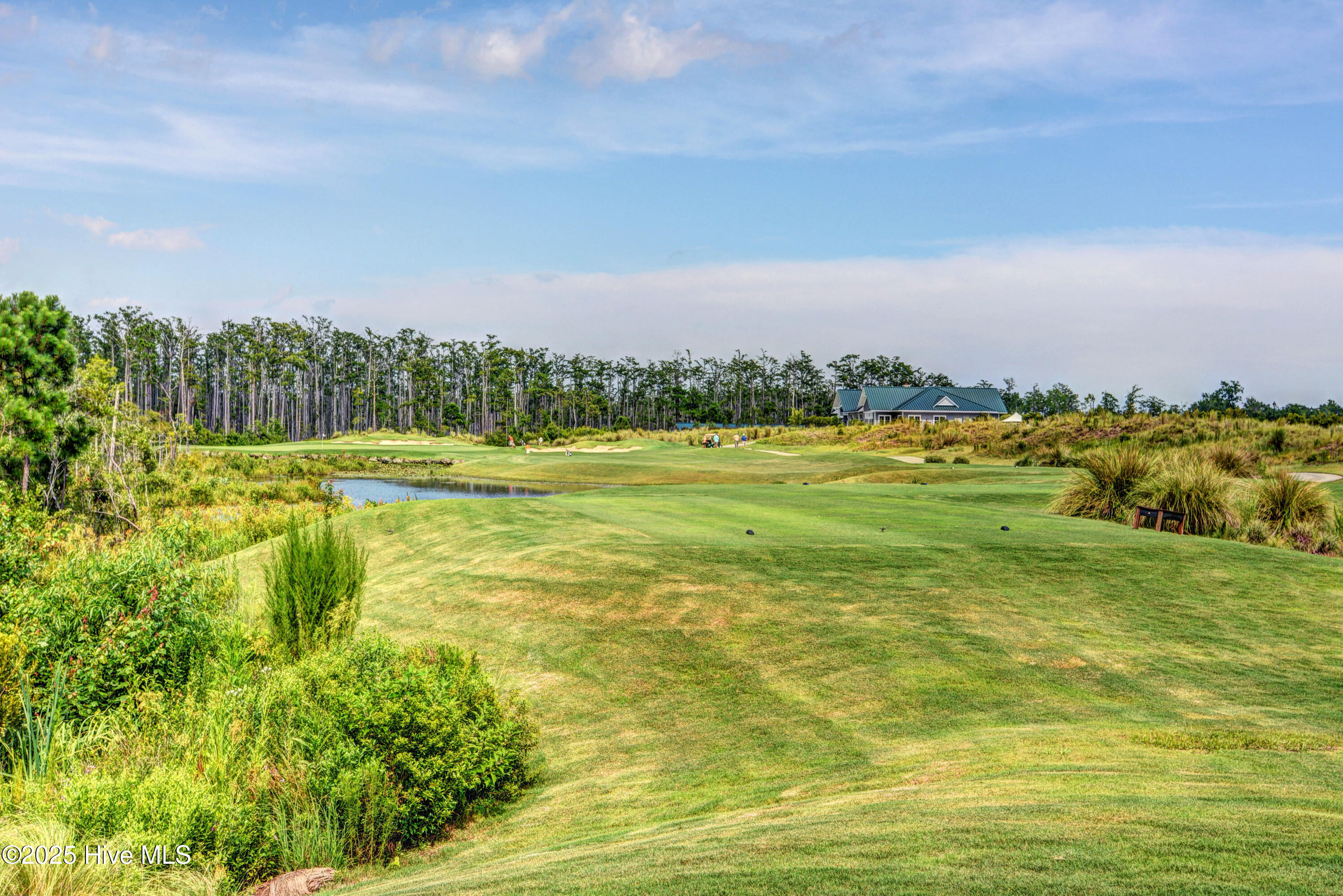 100557399 | Photo 87