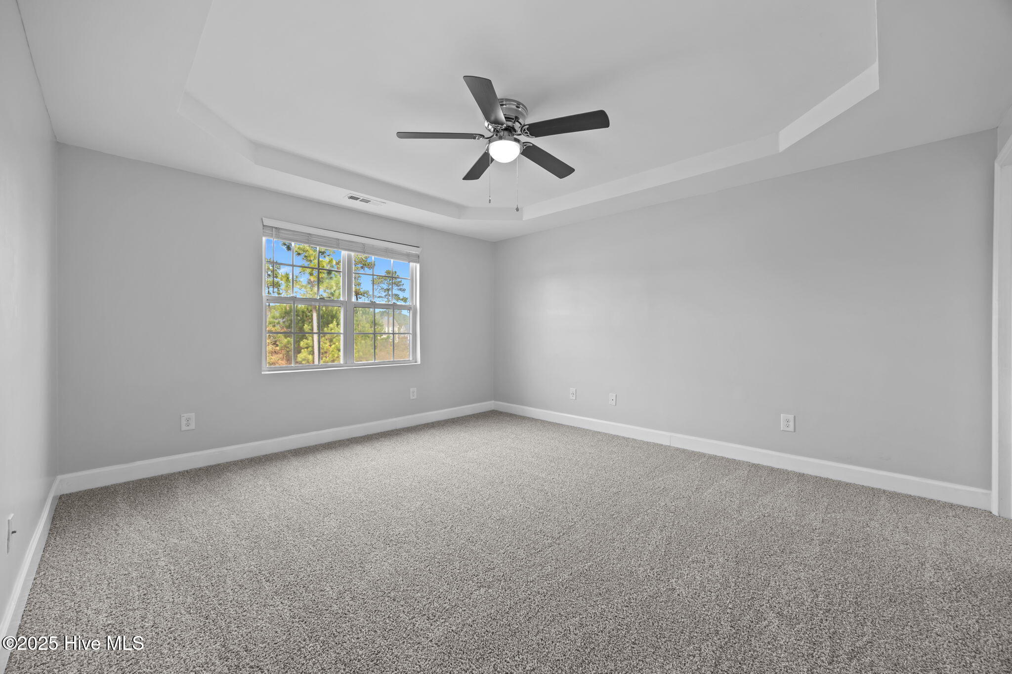 100542971 | Photo 21