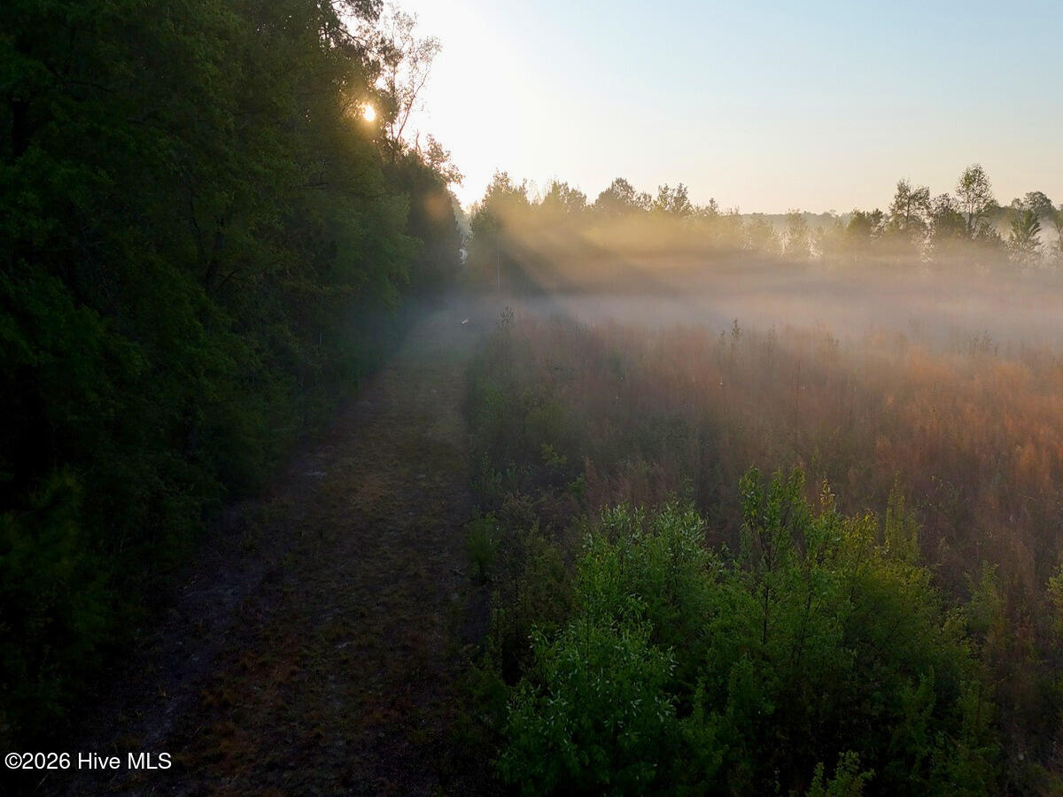 0 Durwood Evans Road, Beulaville, NC, 28518