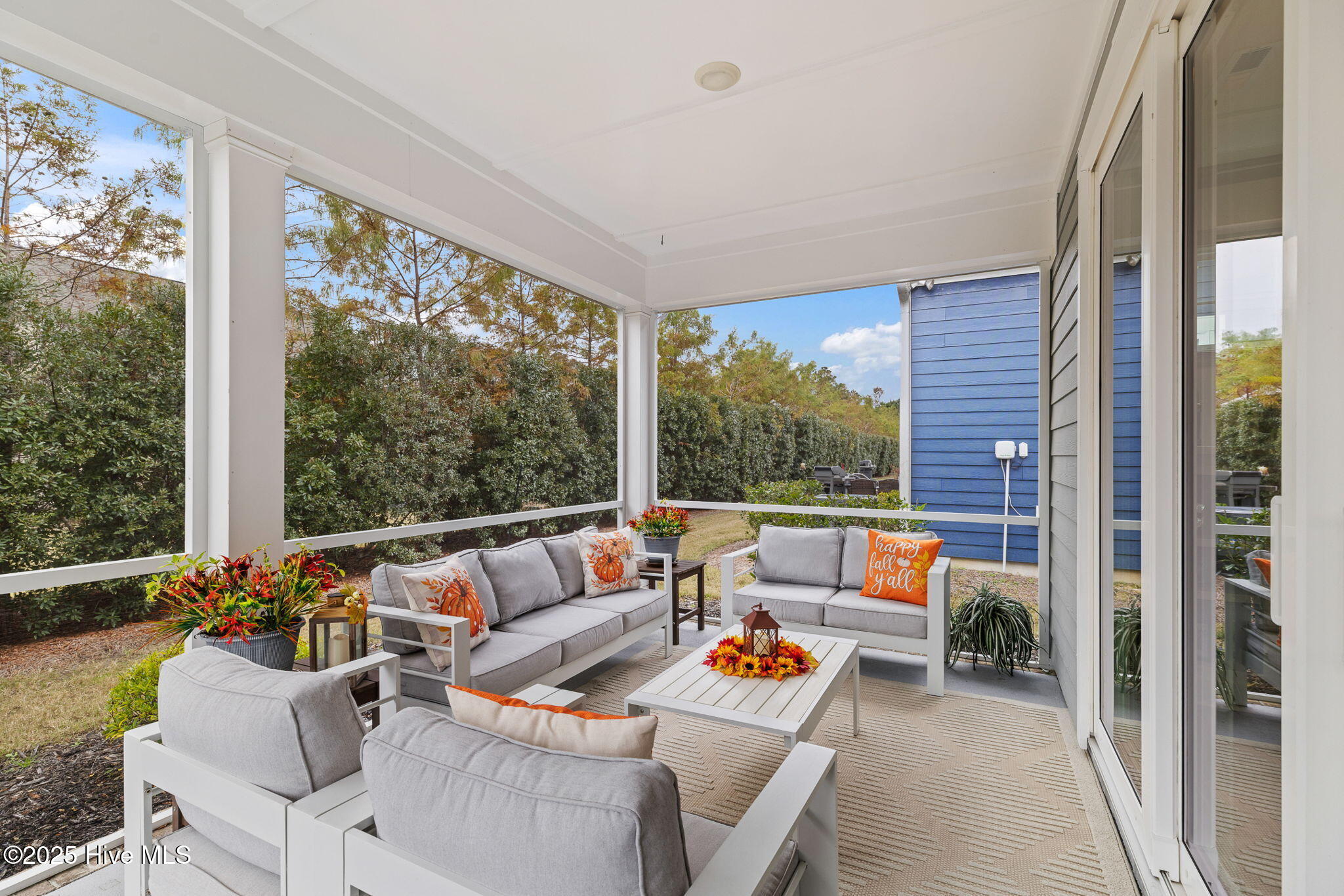 100541268 | Photo 40