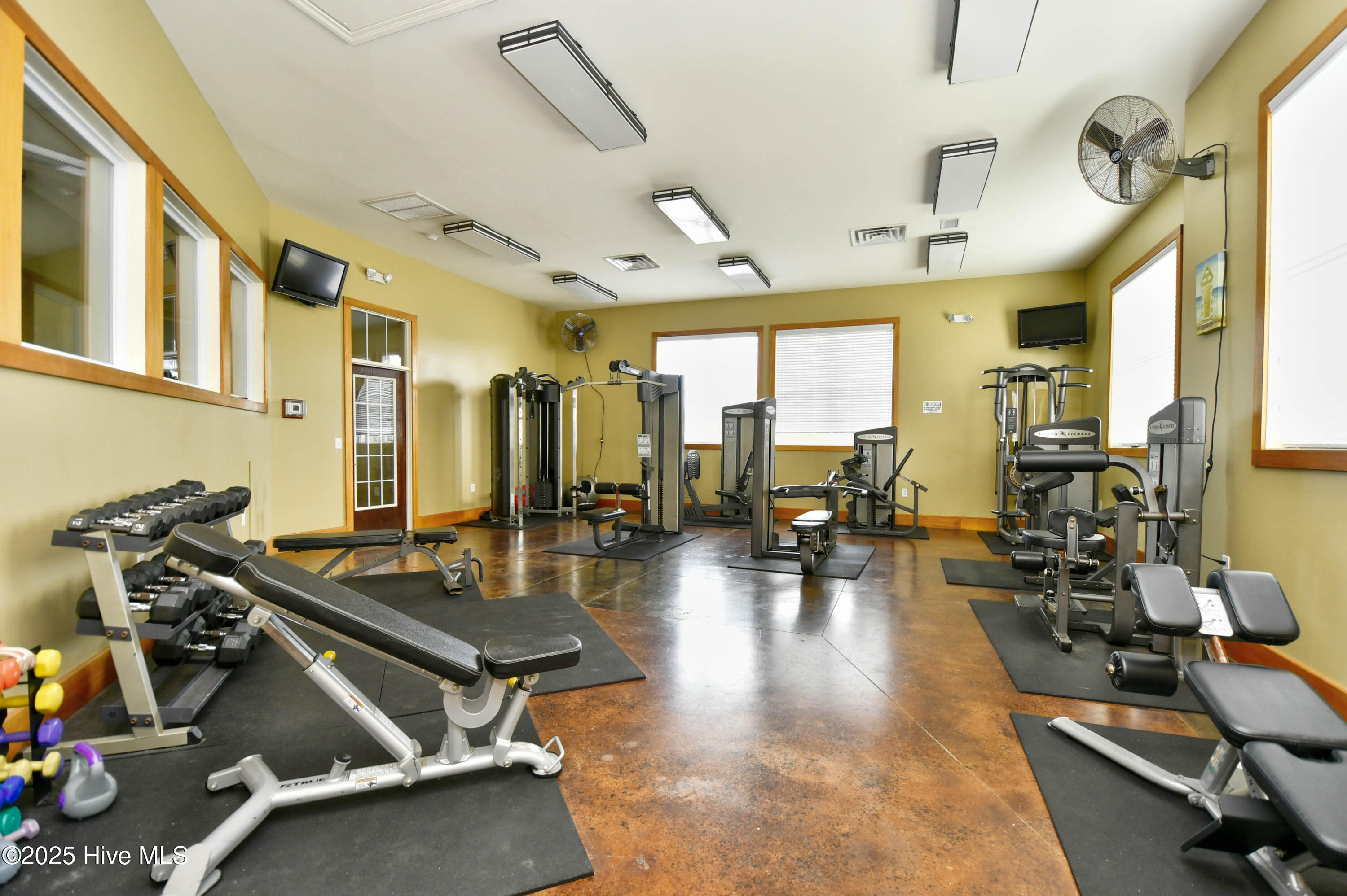 100523607 | Photo 39