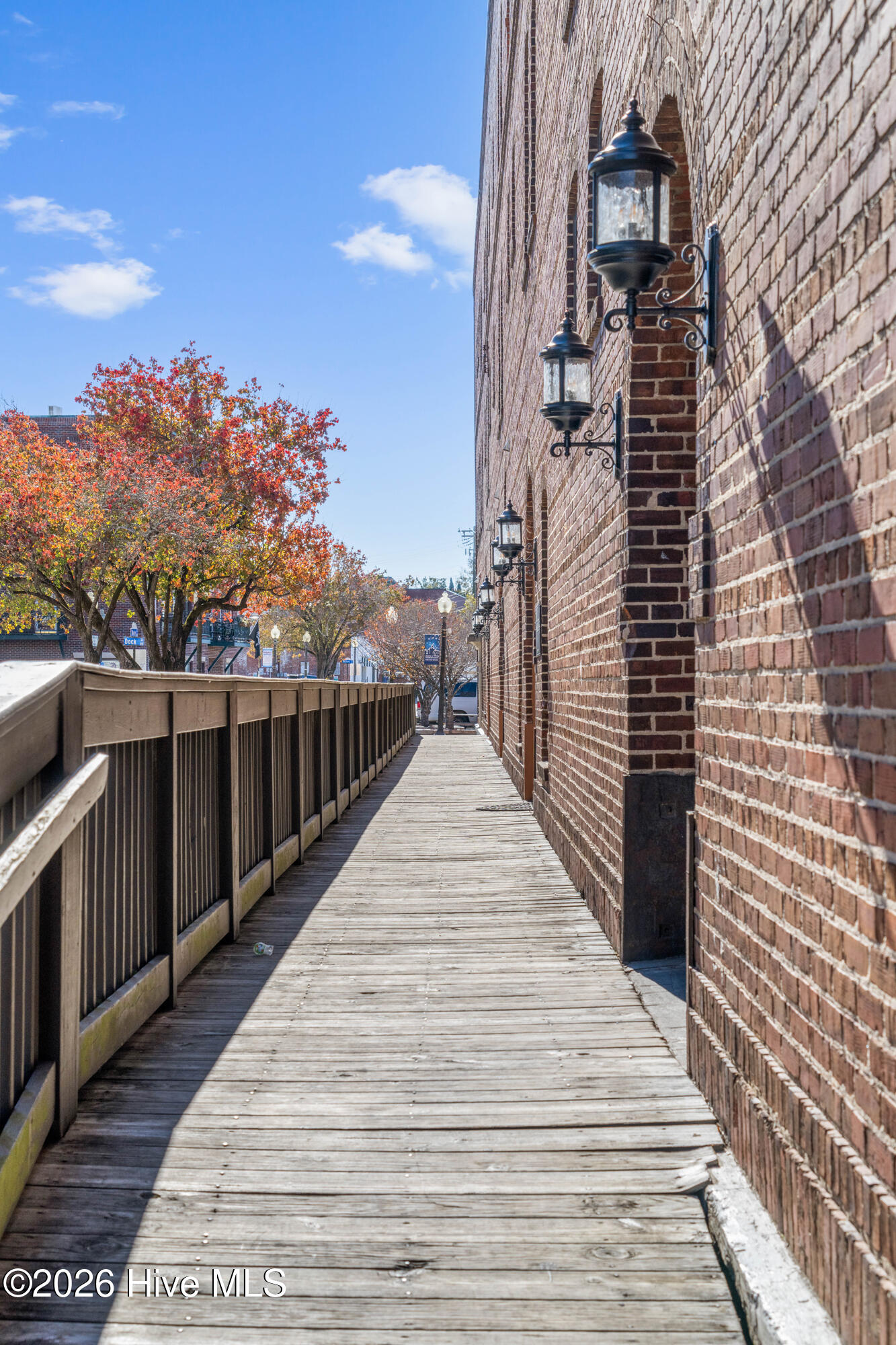 100555847 | Photo 32