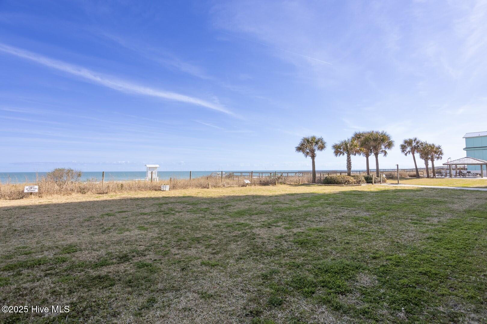 100527171 | Photo 10