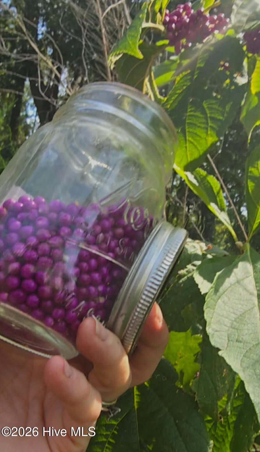 100547303 | Photo 73